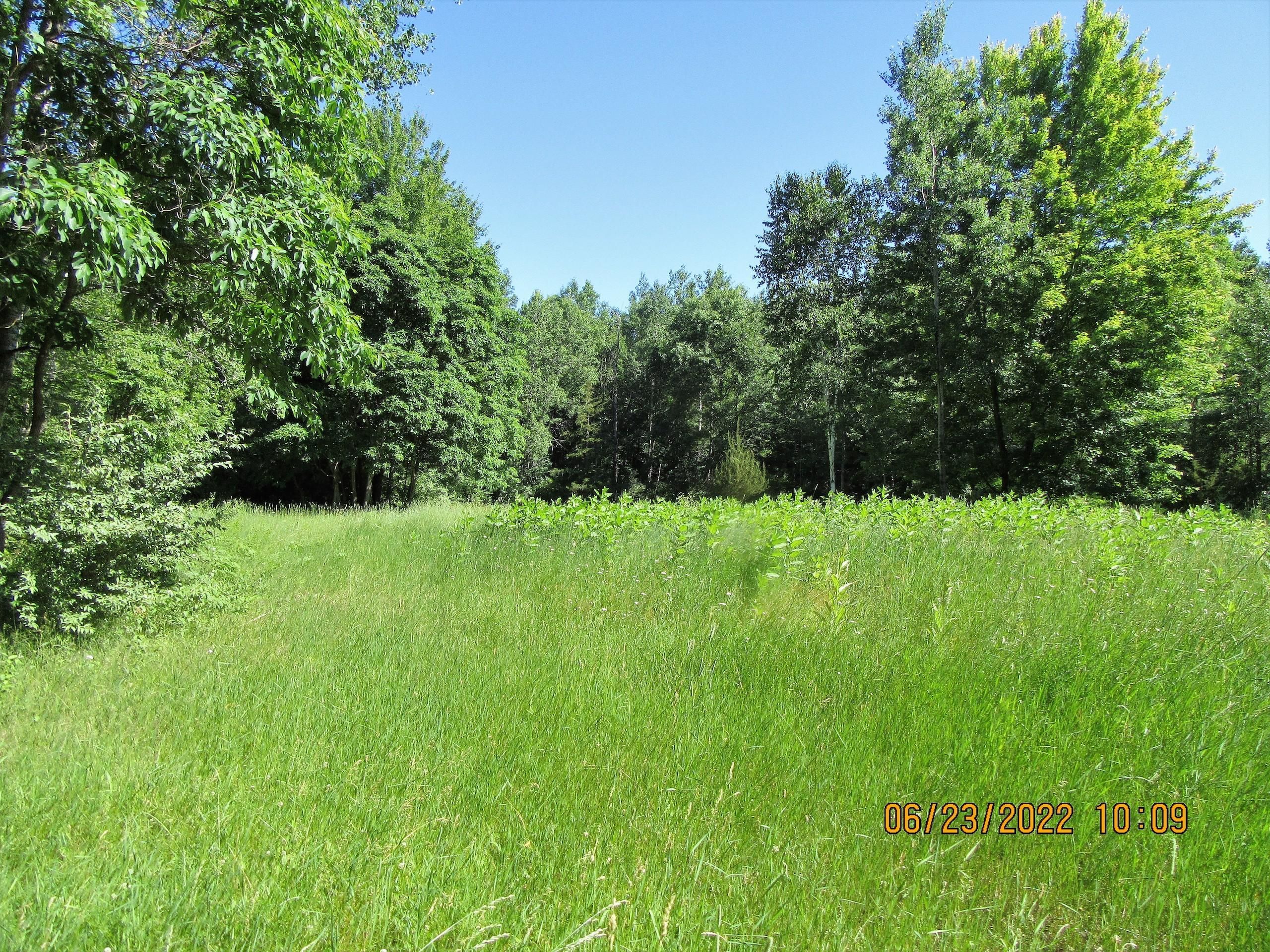 22482 W. Harris Road, Brant, MI 48371 LandWatch