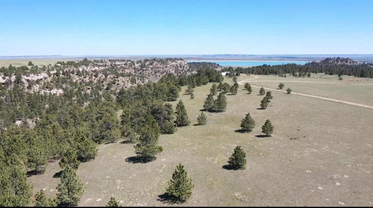 Shawmut, Wheatland County, MT Recreational Property, Timberland