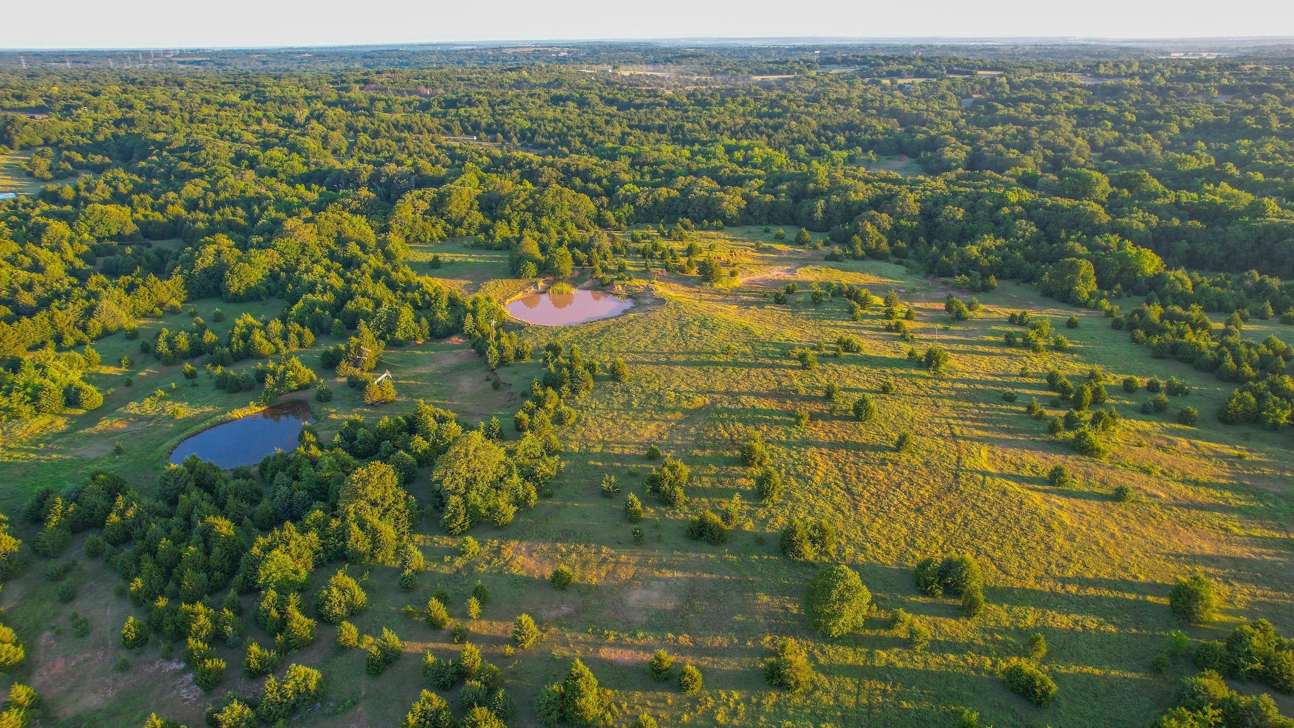 Konawa, Pottawatomie County, OK Recreational Property, Timberland
