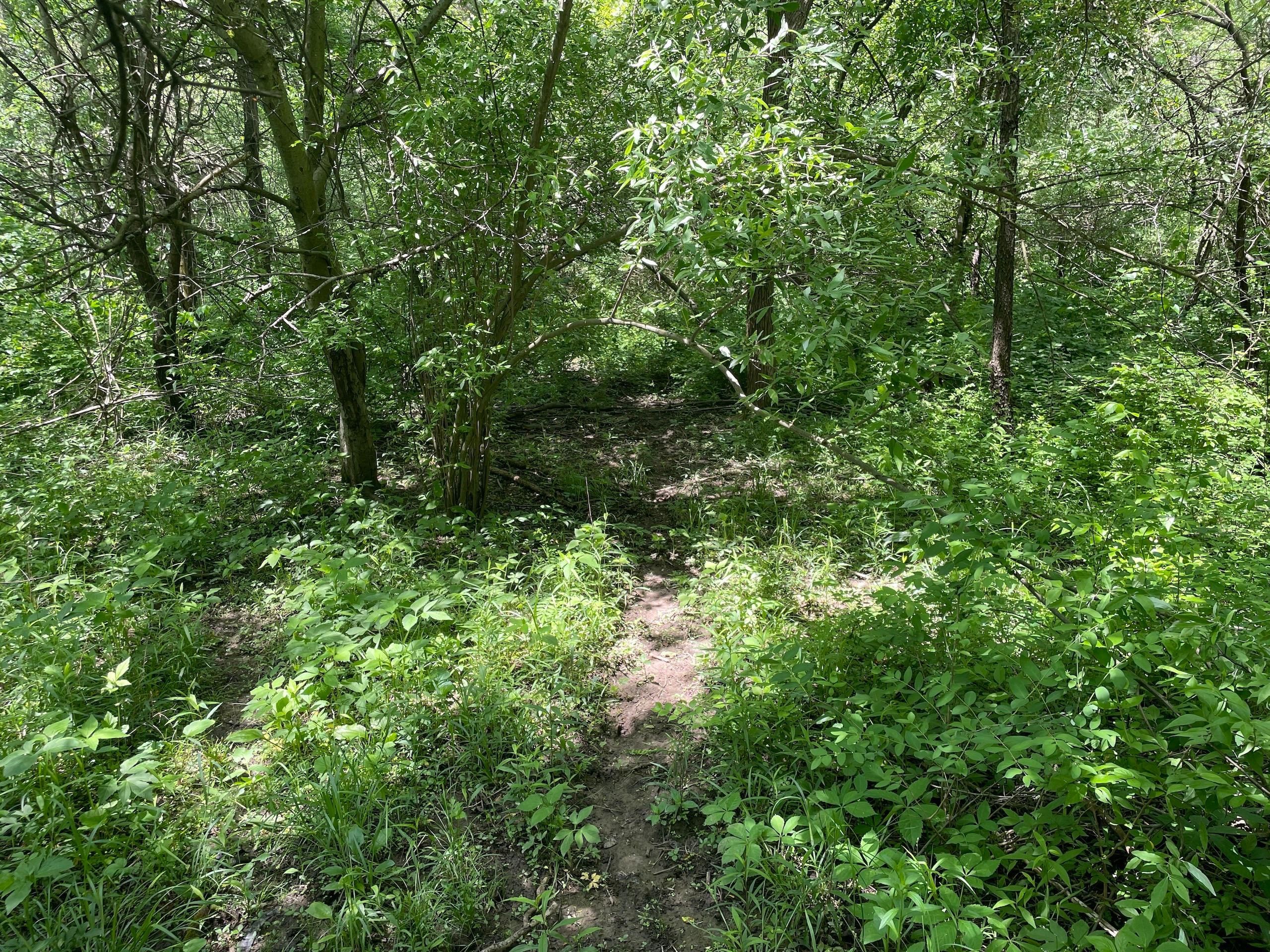 De Graff, Logan County, OH Farms and Ranches, Hunting Property for sale