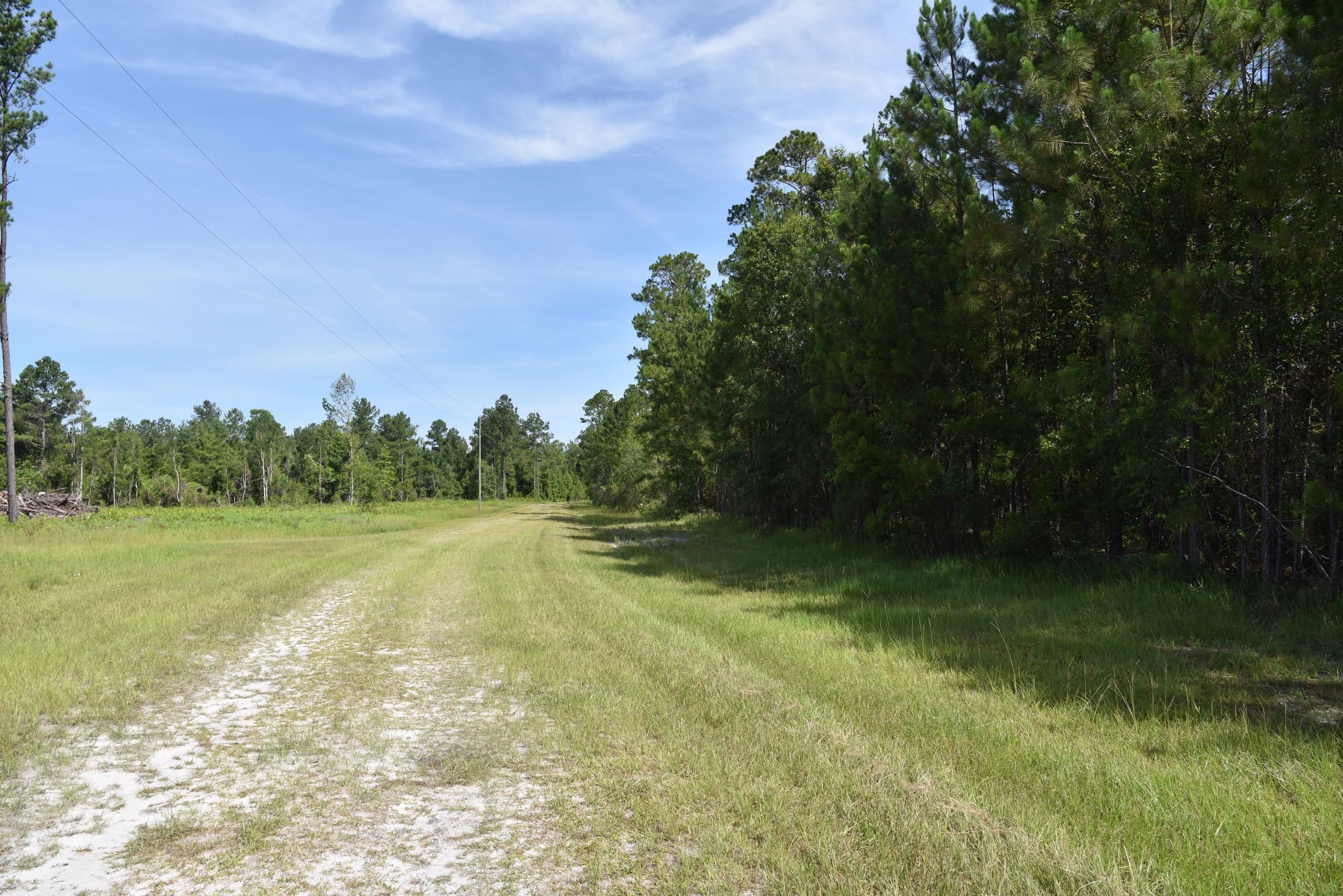 Greenville, Madison County, FL Recreational Property, Timberland