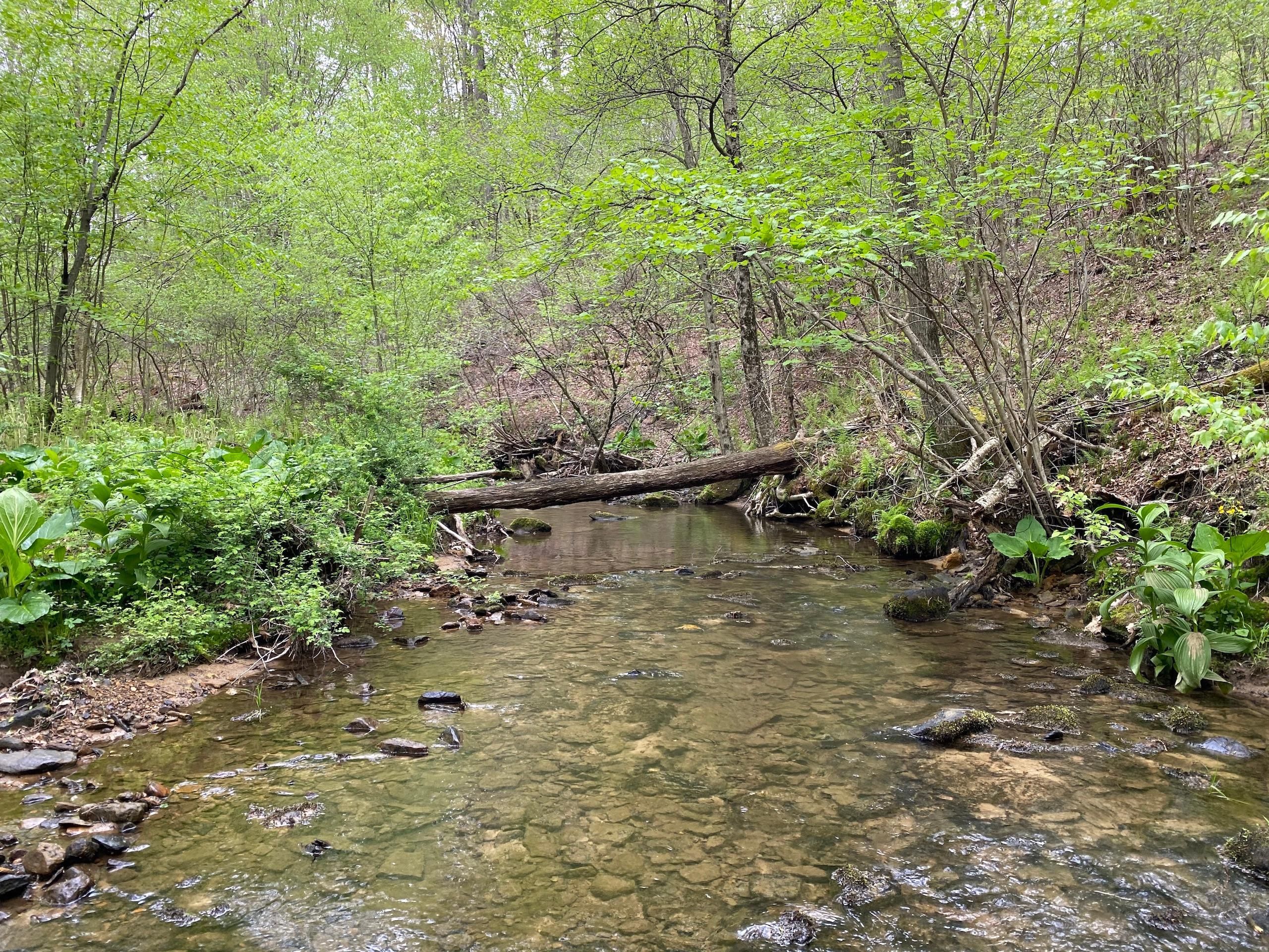 Franklin, Venango County, PA Recreational Property, Timberland Property