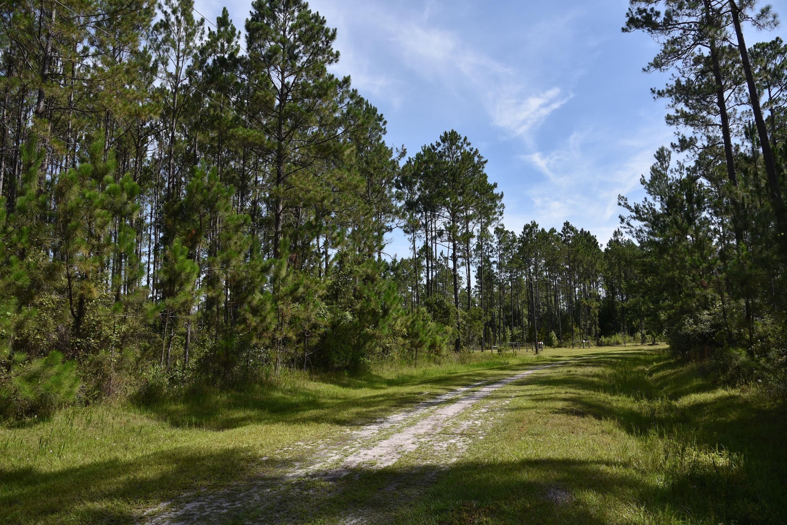 Greenville, Madison County, FL Recreational Property, Timberland