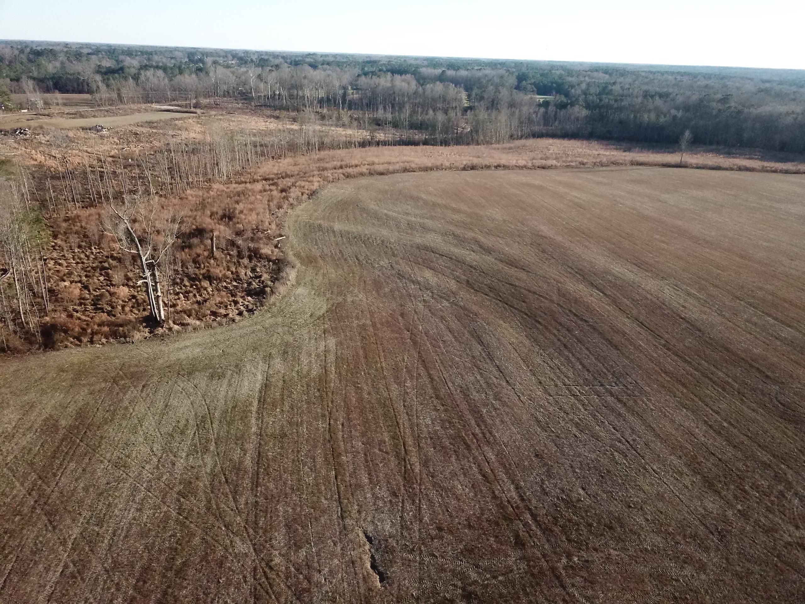 Middlesex, Johnston County, NC Recreational Property, Timberland