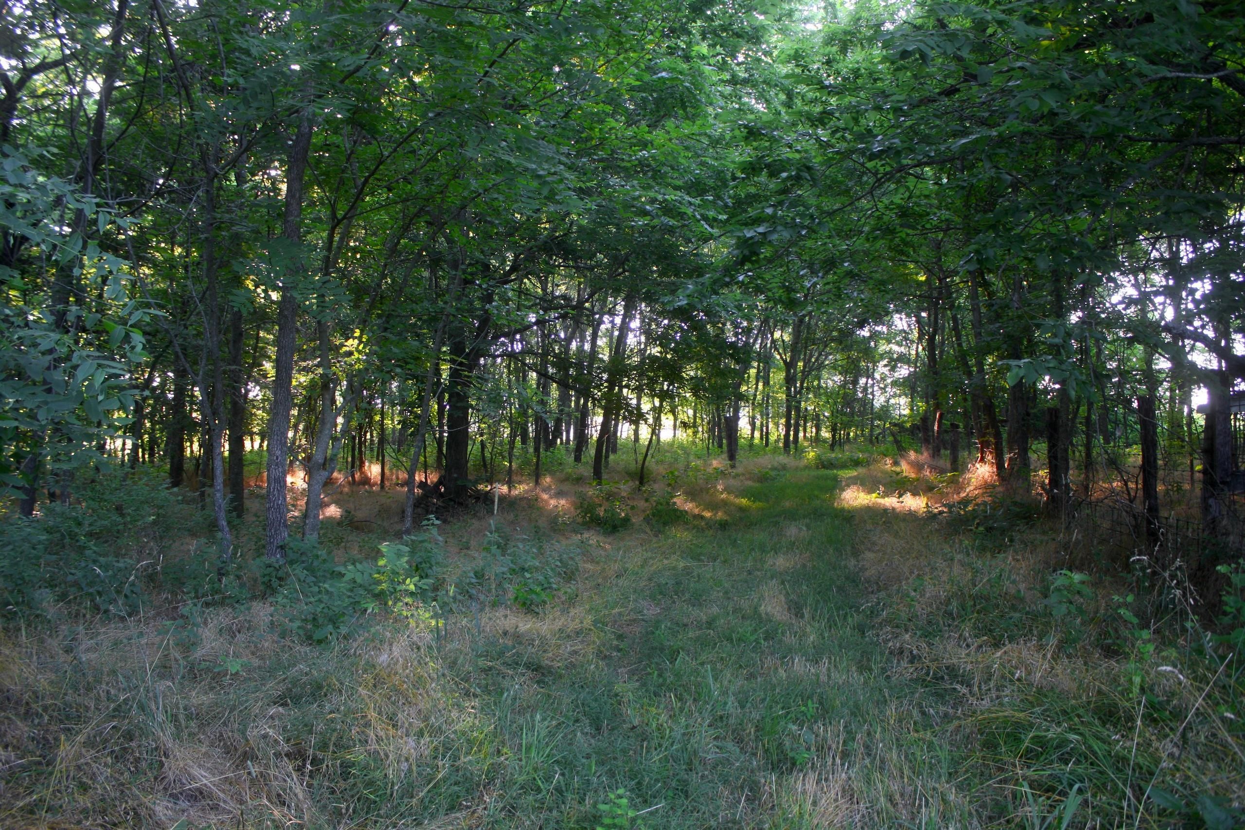 Arcola, Dade County, MO Recreational Property, Timberland Property, Hunting Property for sale