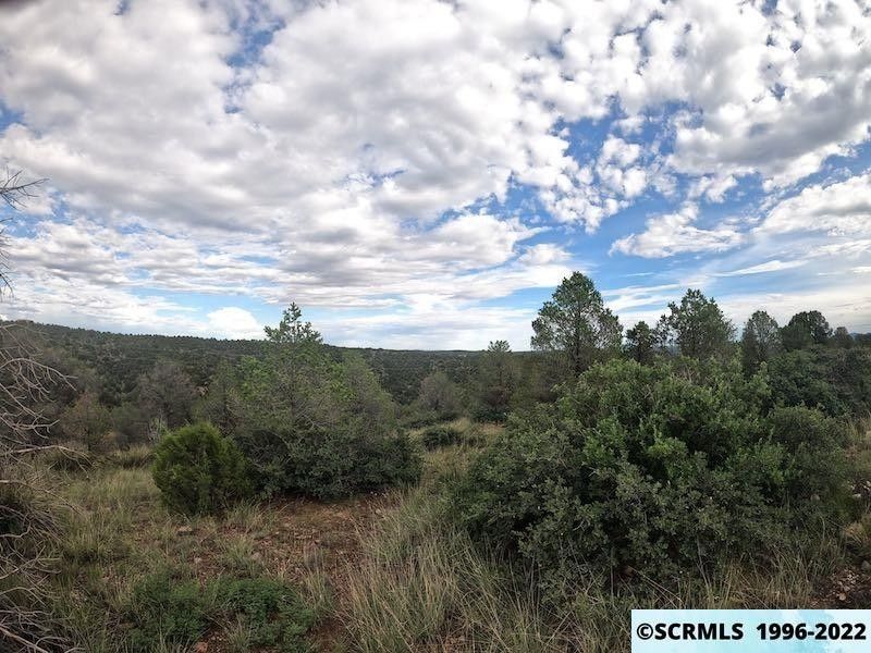 Silver City, Grant County, NM Undeveloped Land for sale Property ID