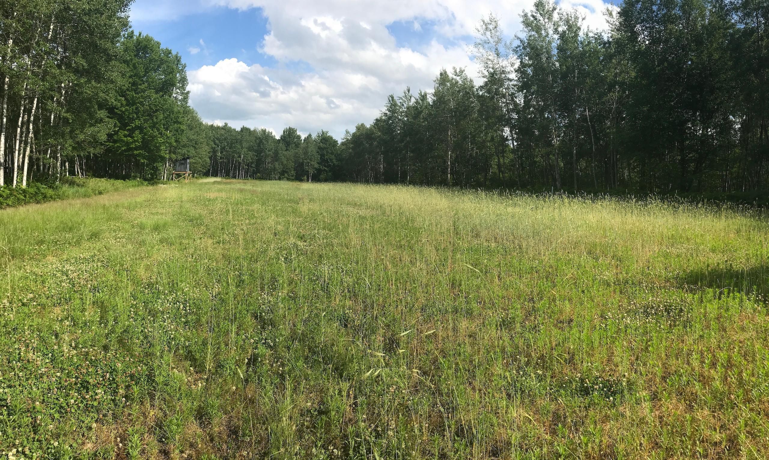 Gladwin, Gladwin County, MI Recreational Property, Timberland Property