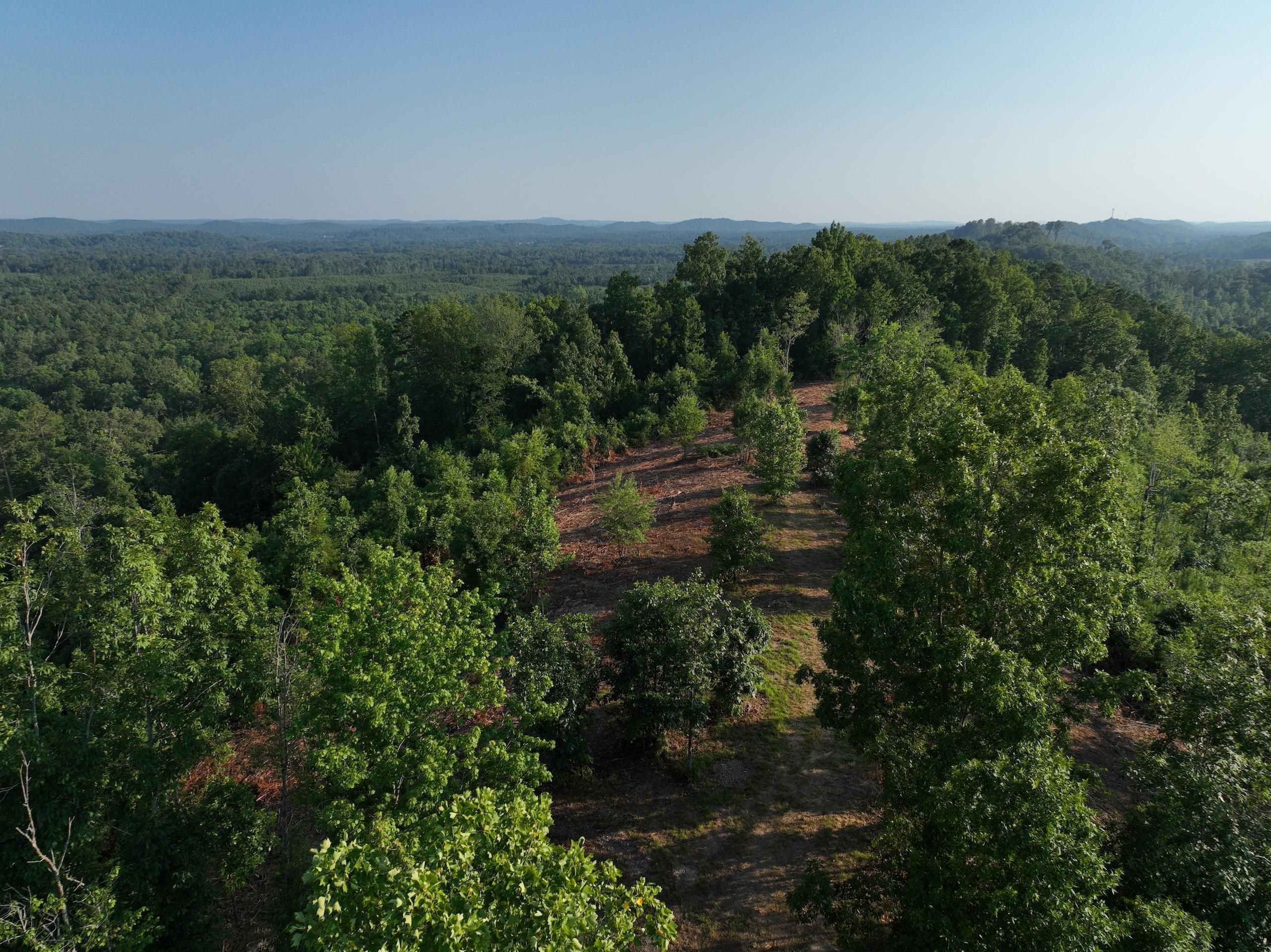 Ohatchee, Calhoun County, AL Recreational Property, Timberland Property