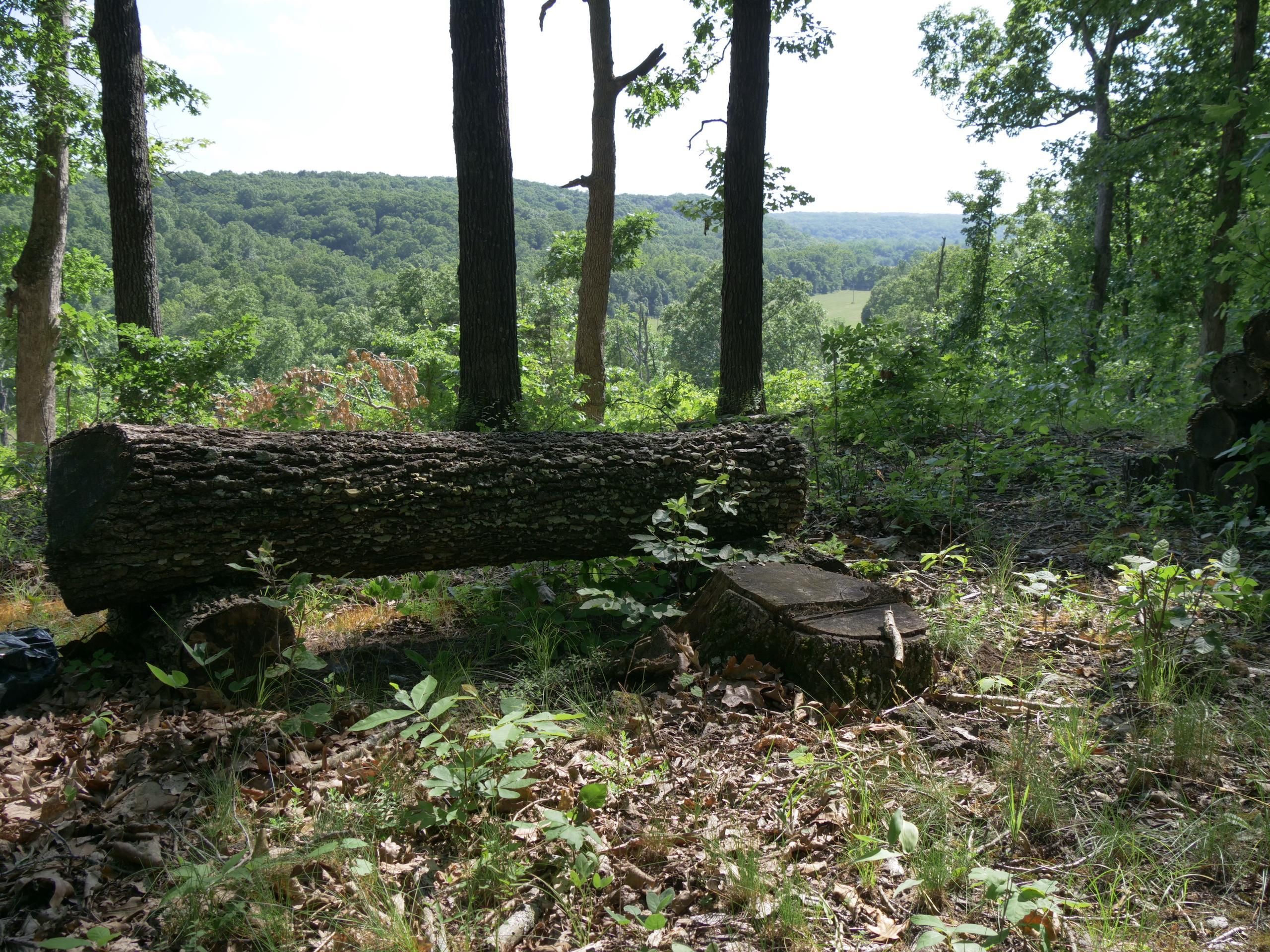 Lonedell, Franklin County, MO Recreational Property, Timberland