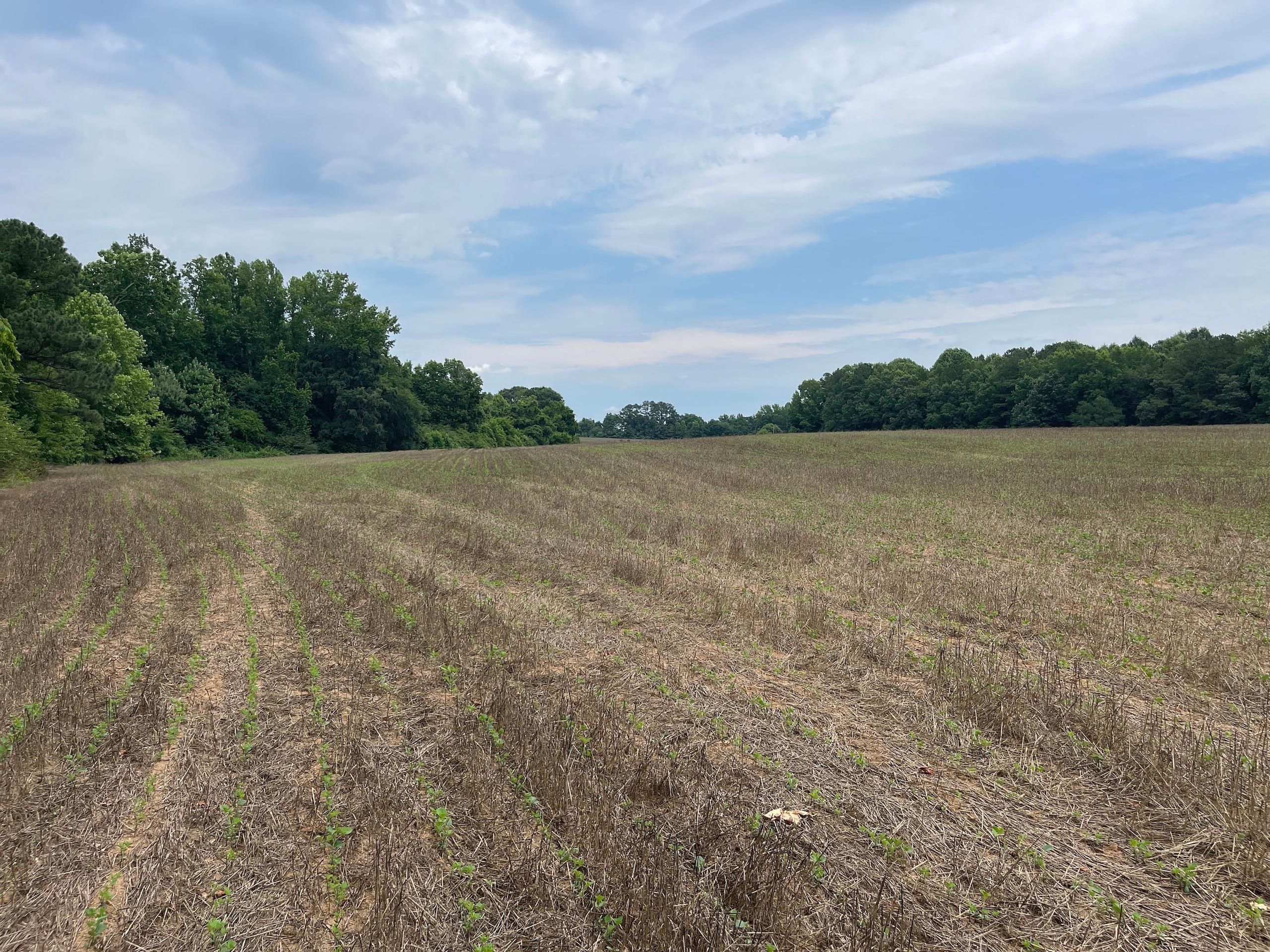 Louisburg, Franklin County, NC Recreational Property, Timberland