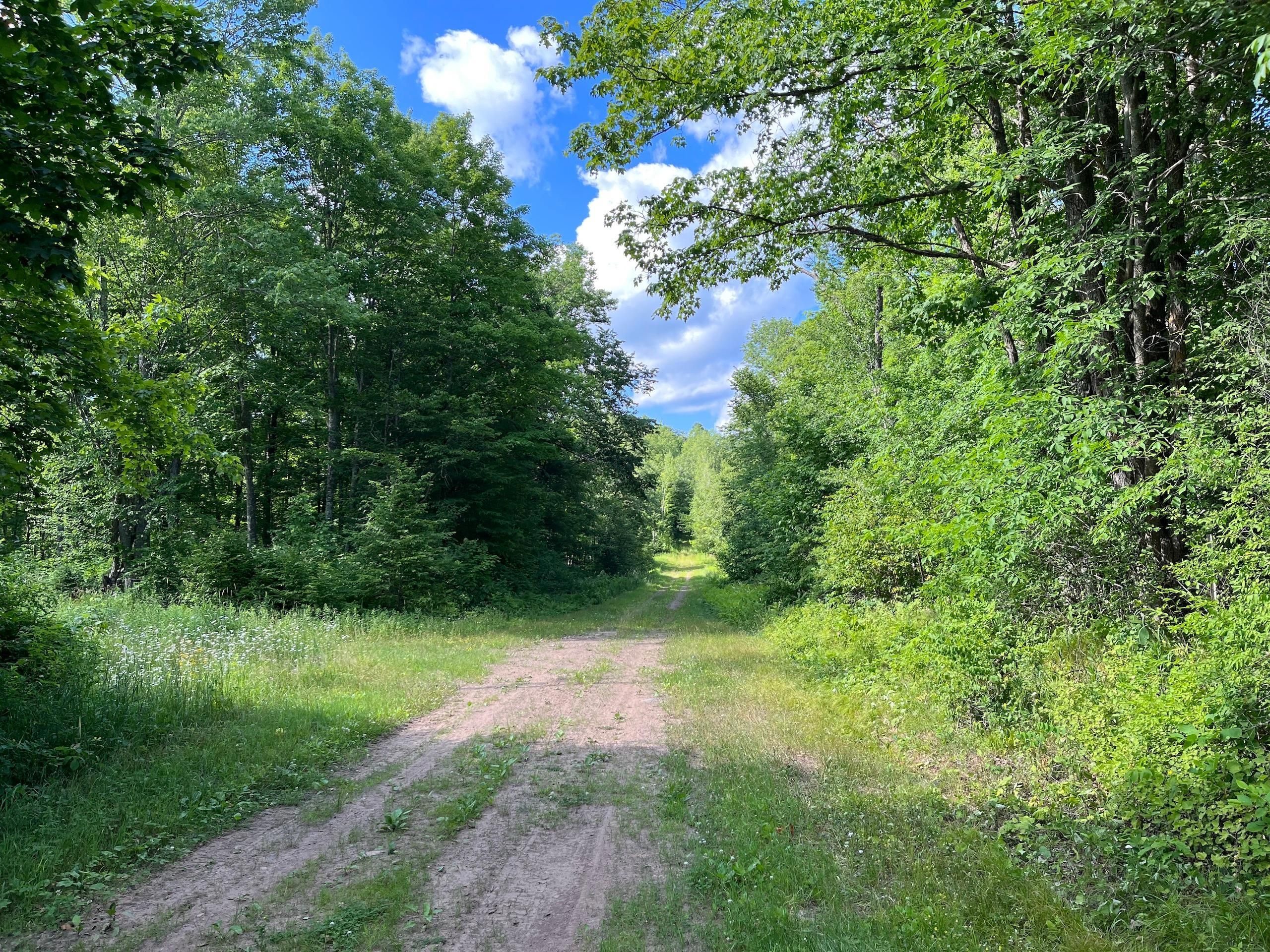 Radisson, Sawyer County, WI Recreational Property, Hunting Property for