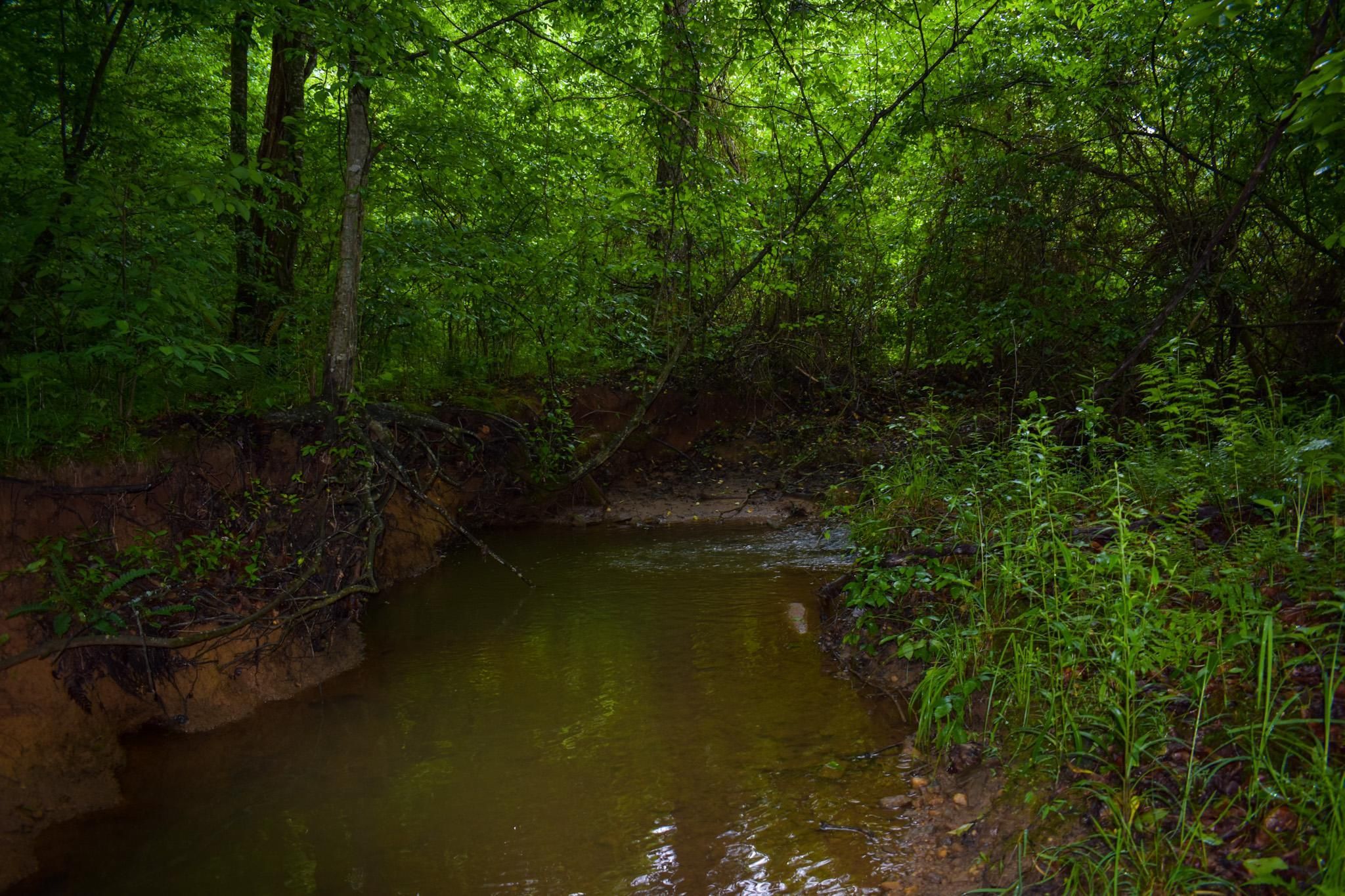 Lawsonville, Stokes County, NC Recreational Property, Timberland