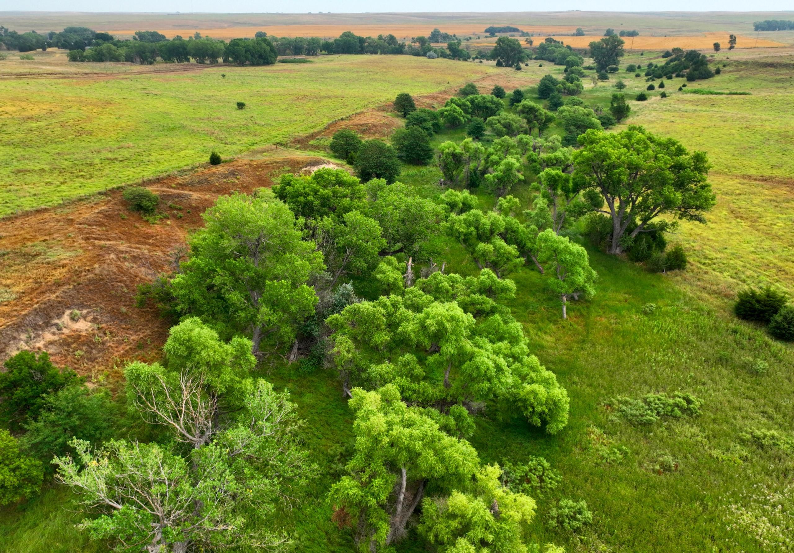 Hill City, Graham County, KS Recreational Property, Timberland Property