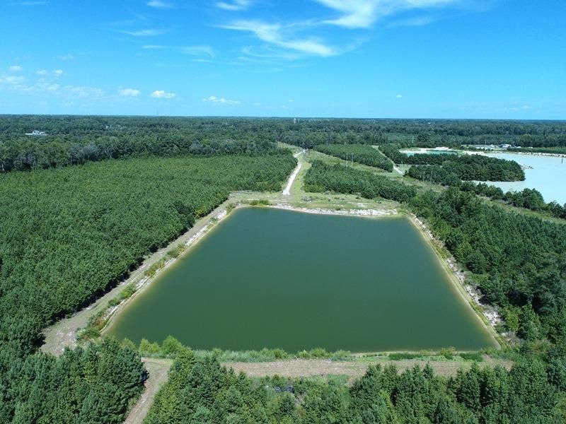 Lumberton, Robeson County, NC Recreational Property, Timberland