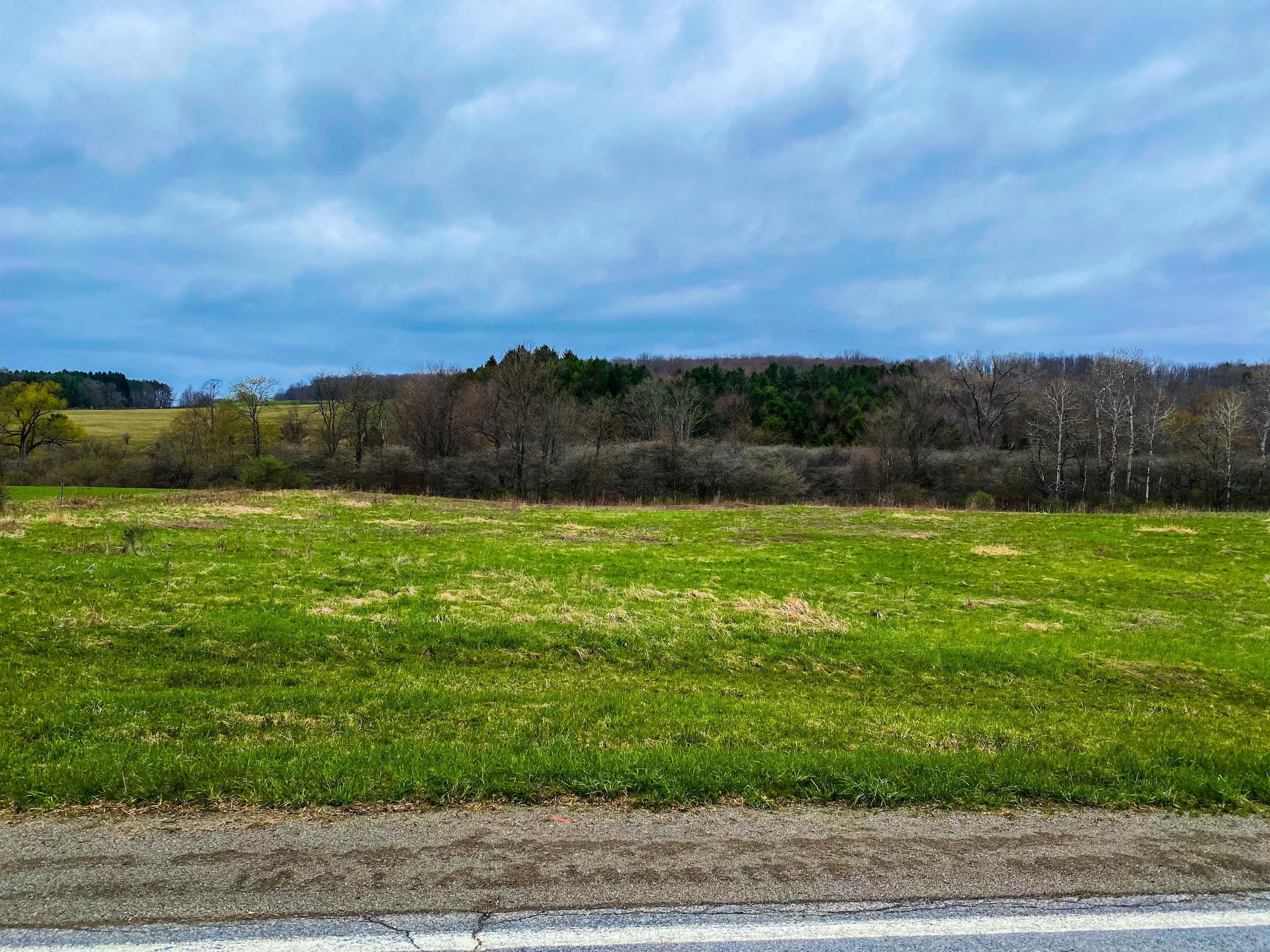 Dalton, Allegany County, NY Recreational Property, Timberland Property