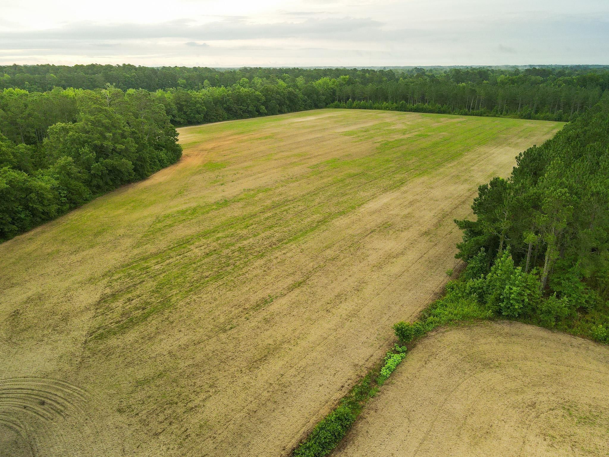 Fork, Dillon County, SC Recreational Property, Timberland Property