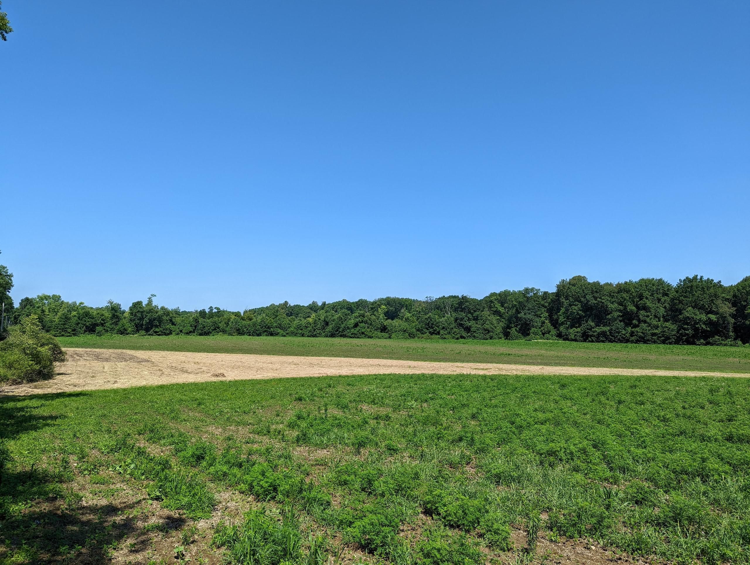 Newton Falls, Trumbull County, OH Farms and Ranches, Recreational Property, Hunting Property for