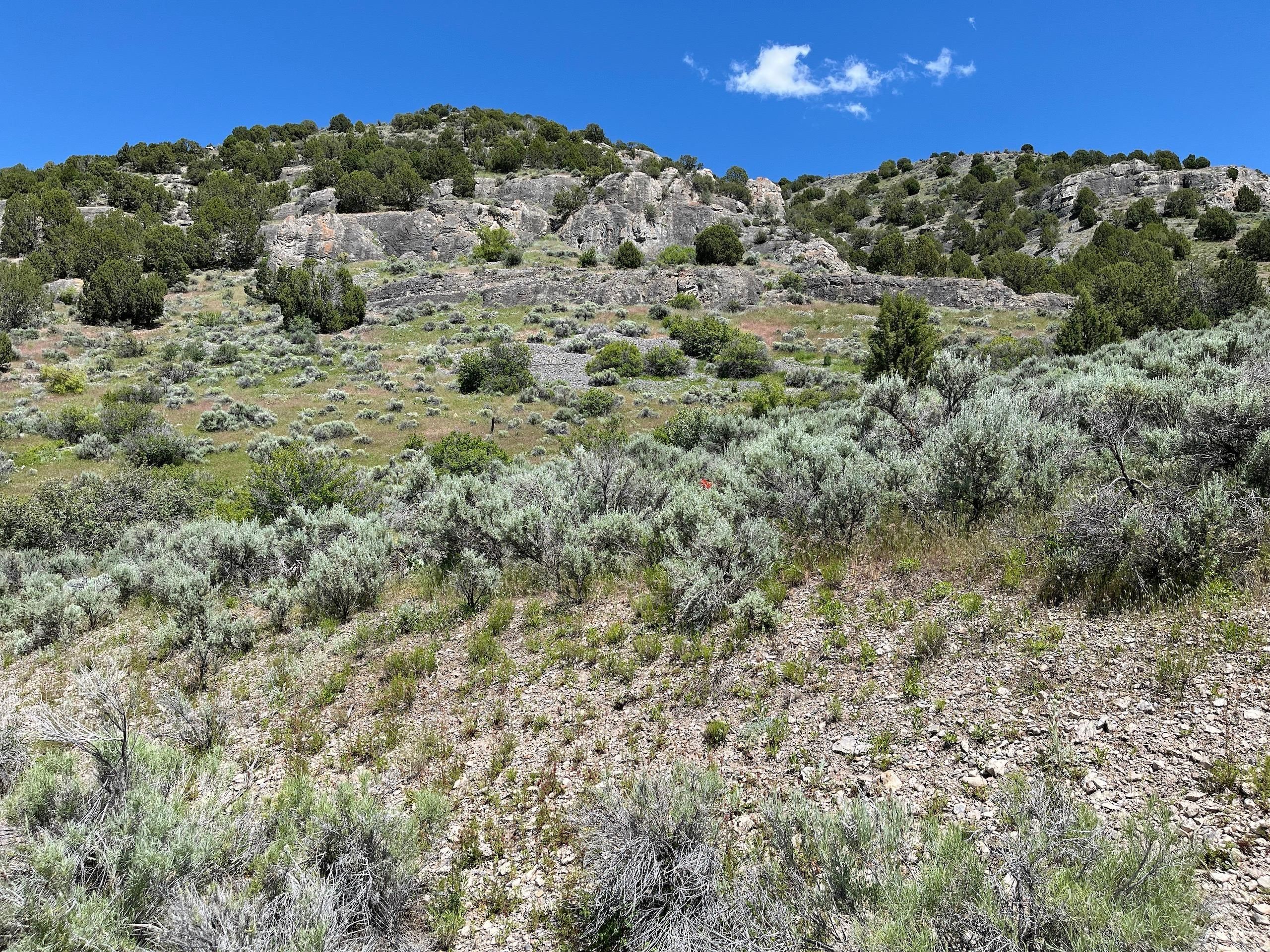 Malad City, Oneida County, ID Farms and Ranches, Recreational Property