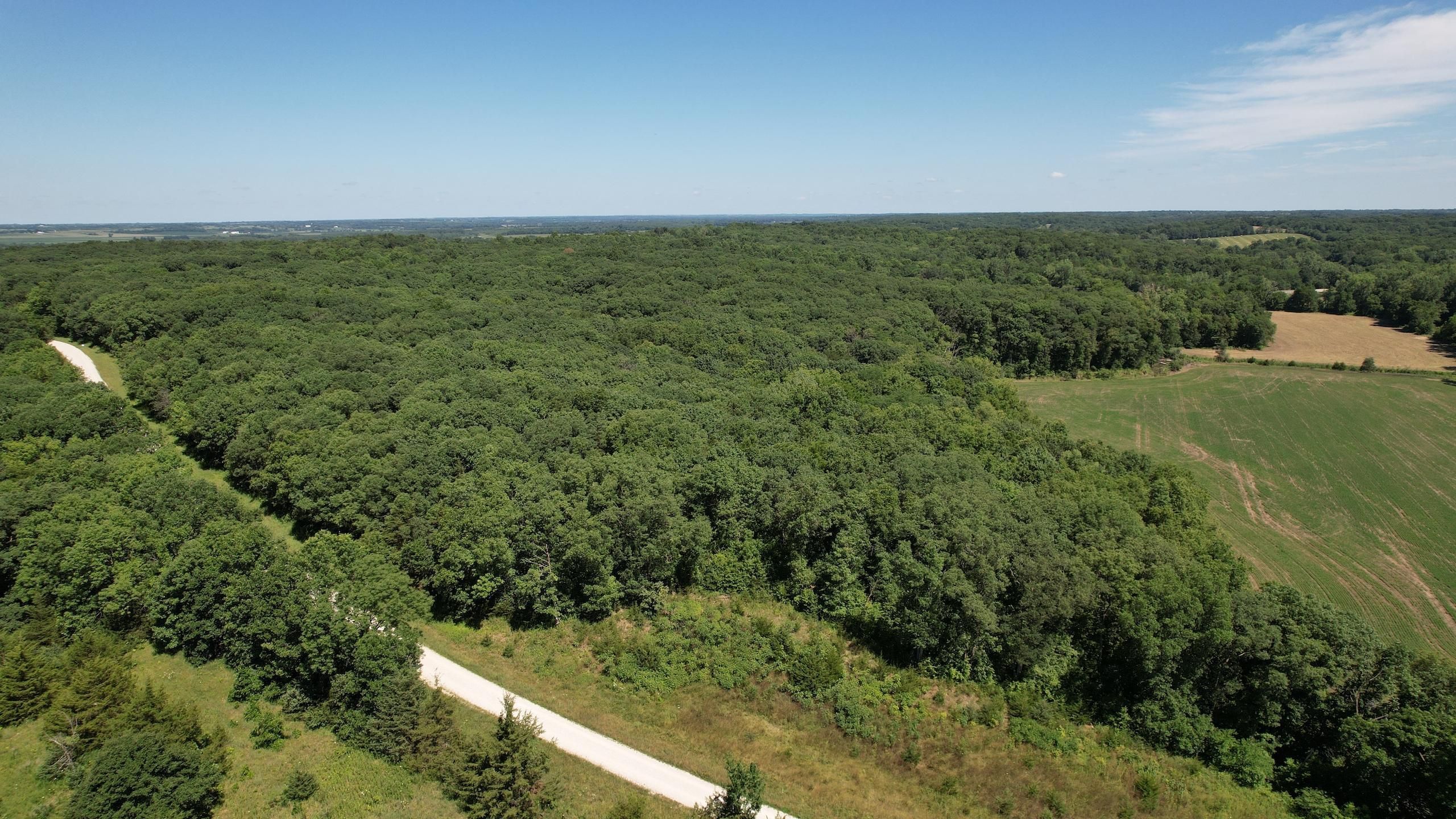 Princeton, Mercer County, MO Recreational Property, Timberland Property