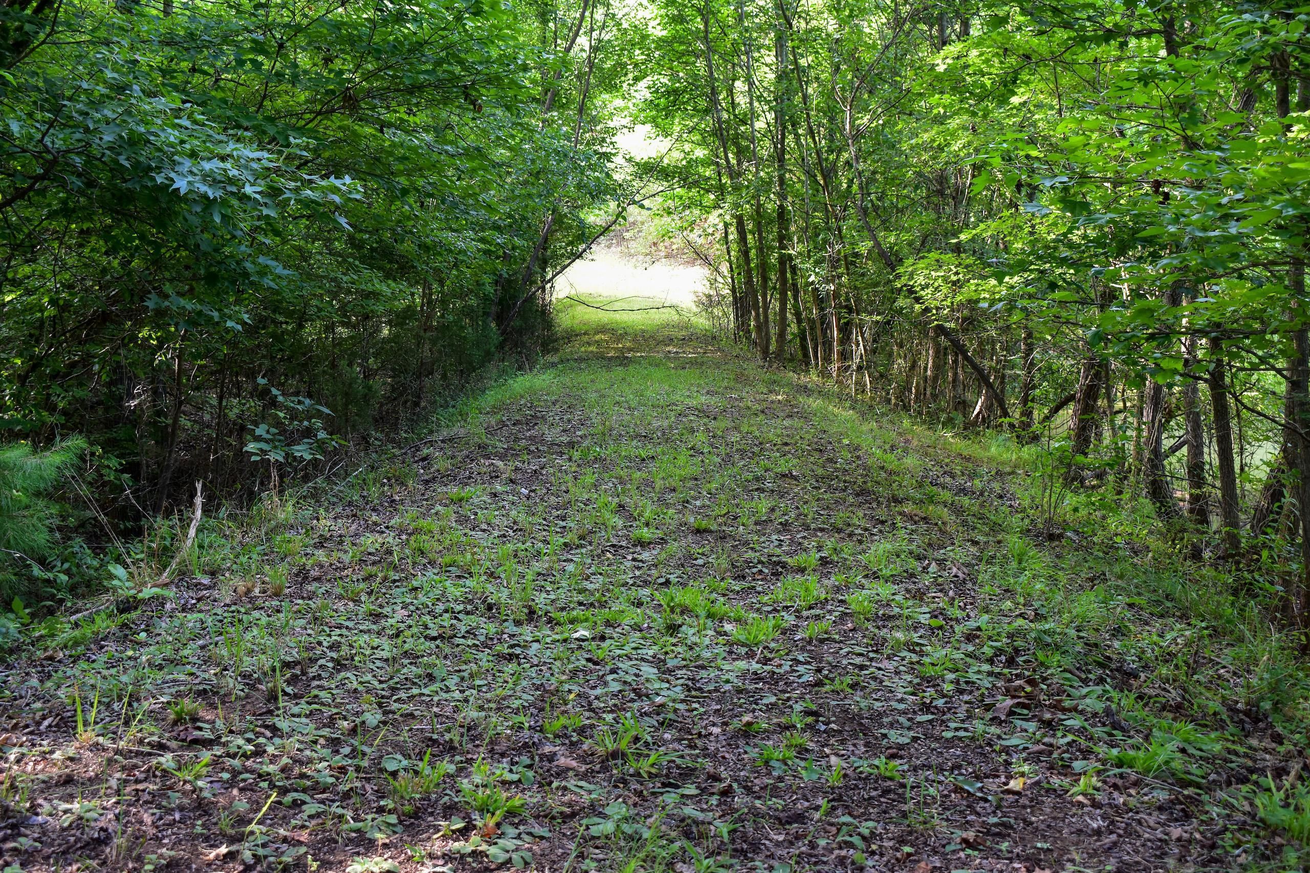 York, York County, SC Recreational Property, Timberland Property, Hunting Property, Homesites