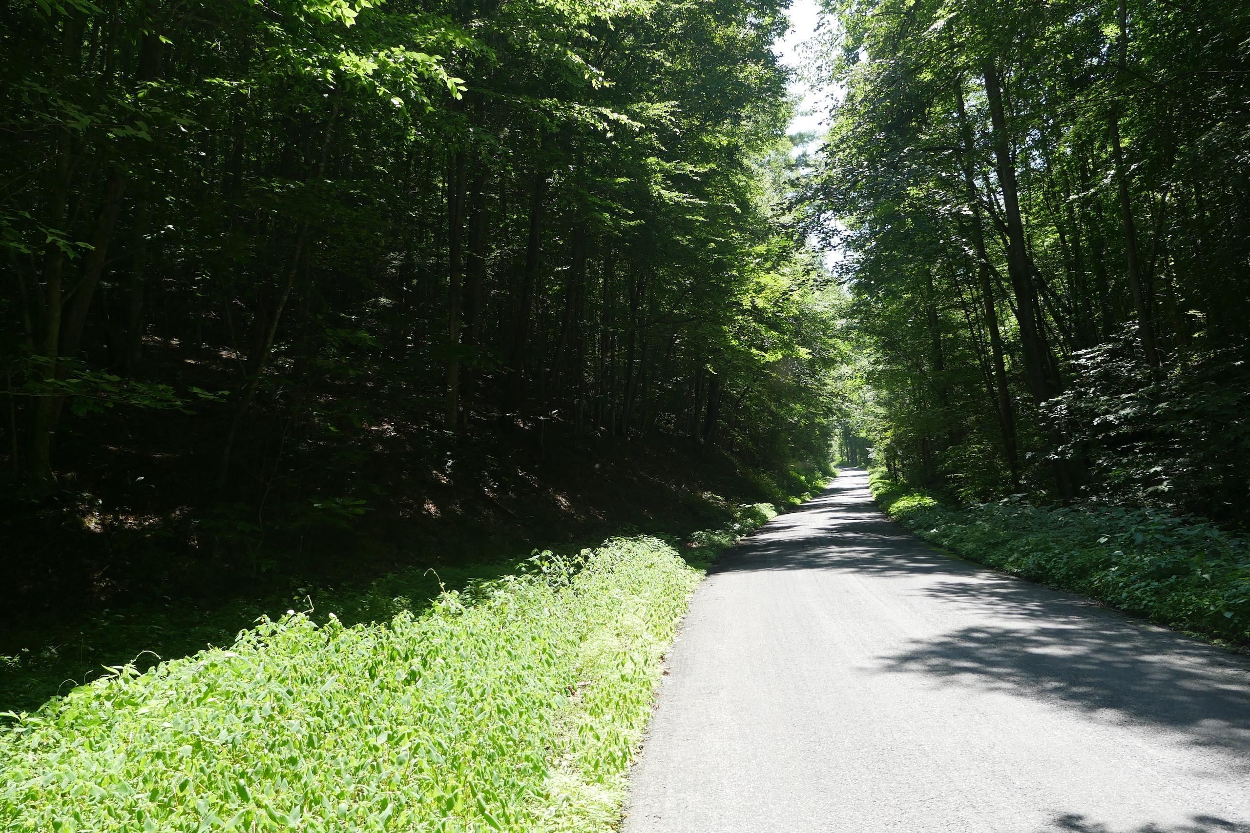 Bristol, Washington County, VA Recreational Property, Timberland