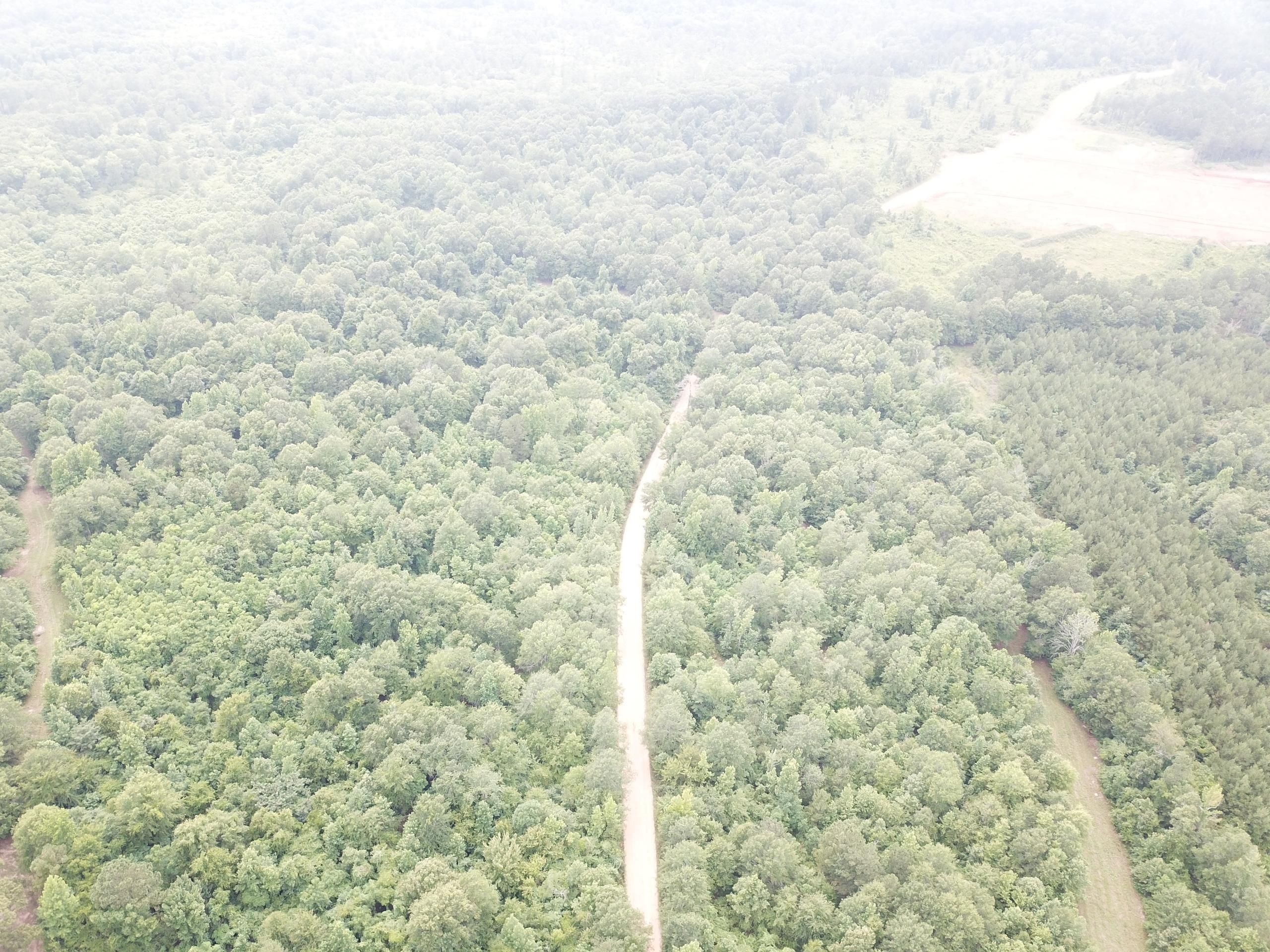 Sterlington, Union Parish, LA Recreational Property, Timberland