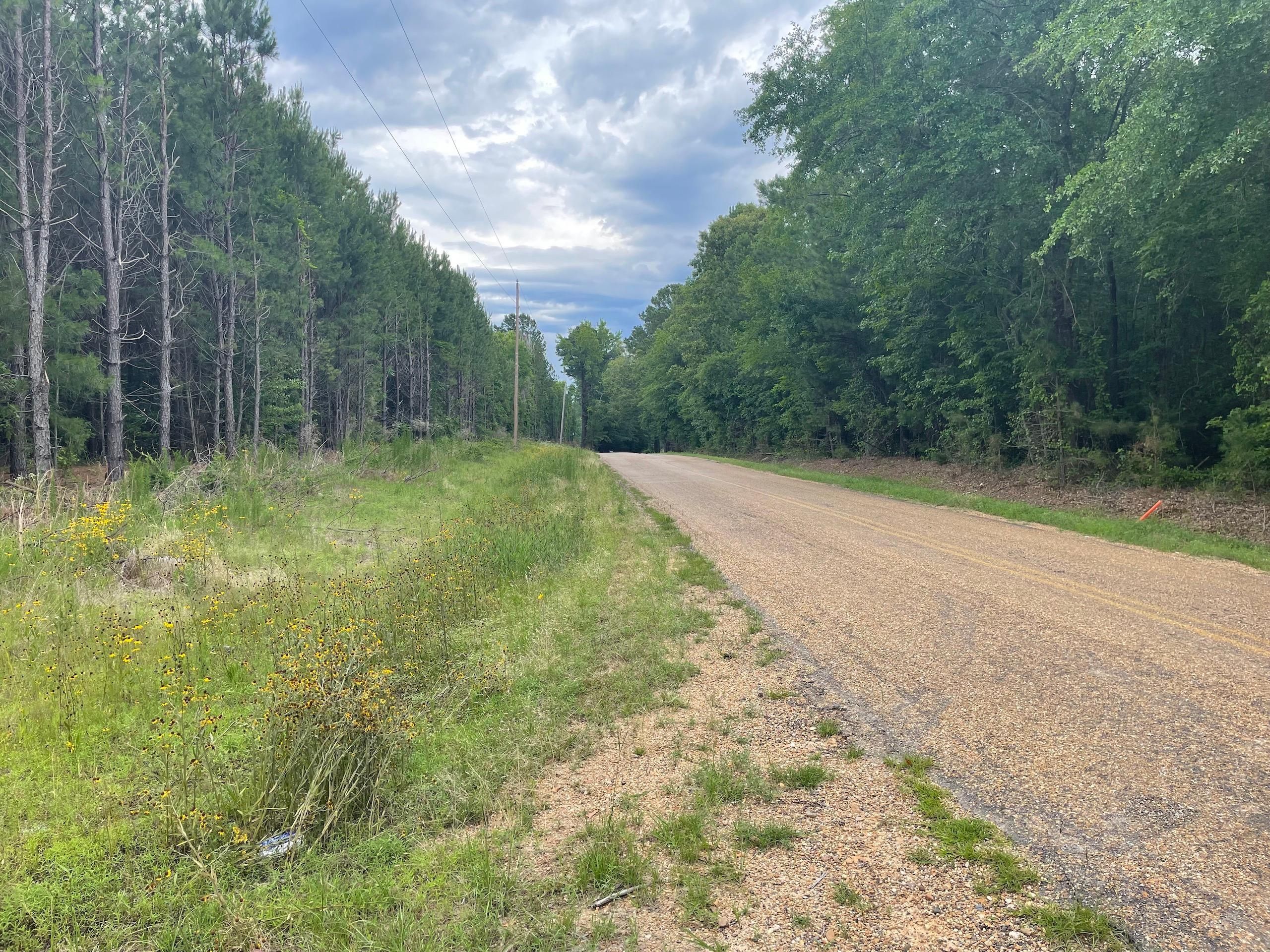 Magnolia, Columbia County, AR Recreational Property, Timberland