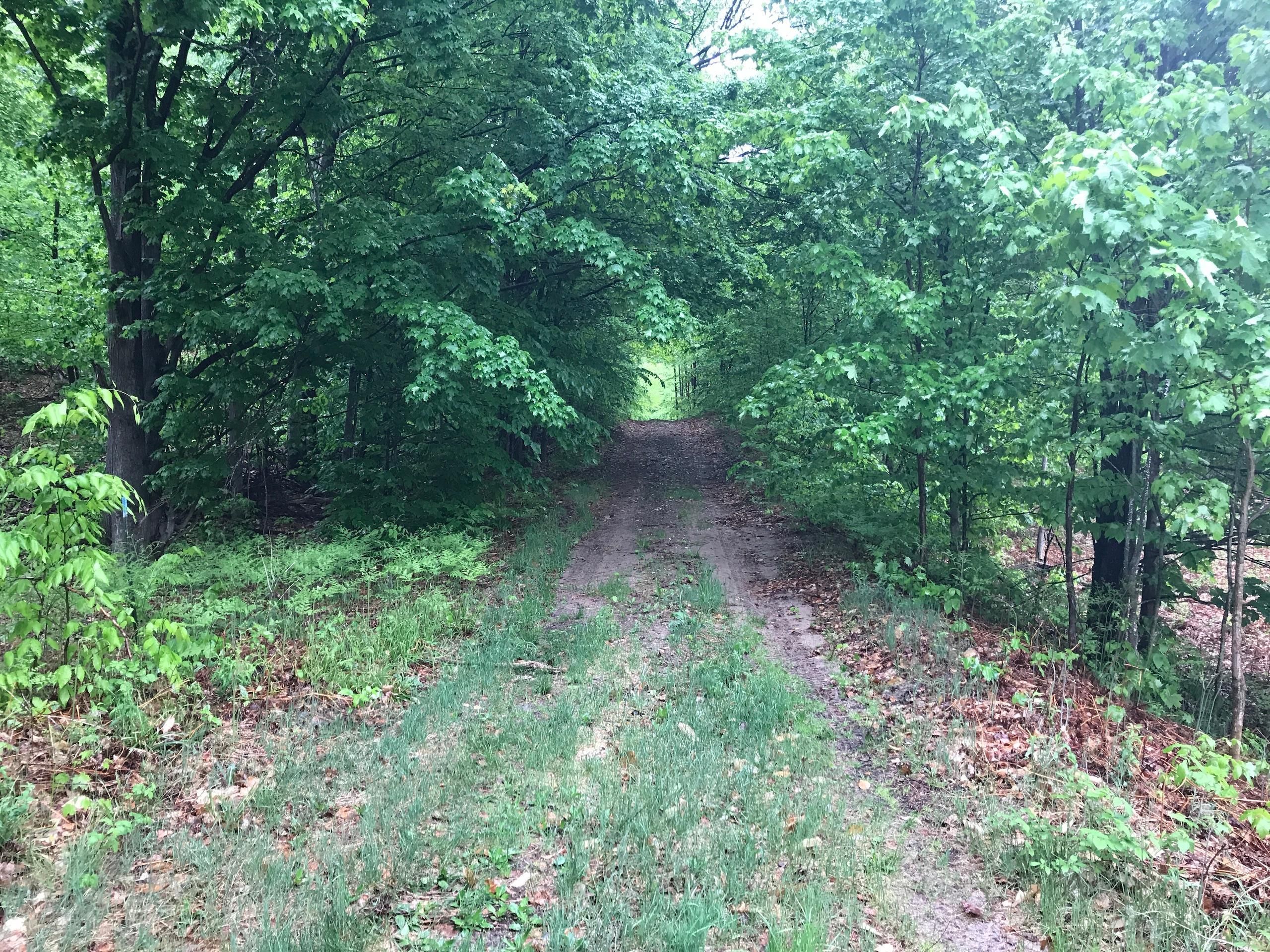 Mesick, Wexford County, MI Recreational Property, Timberland Property