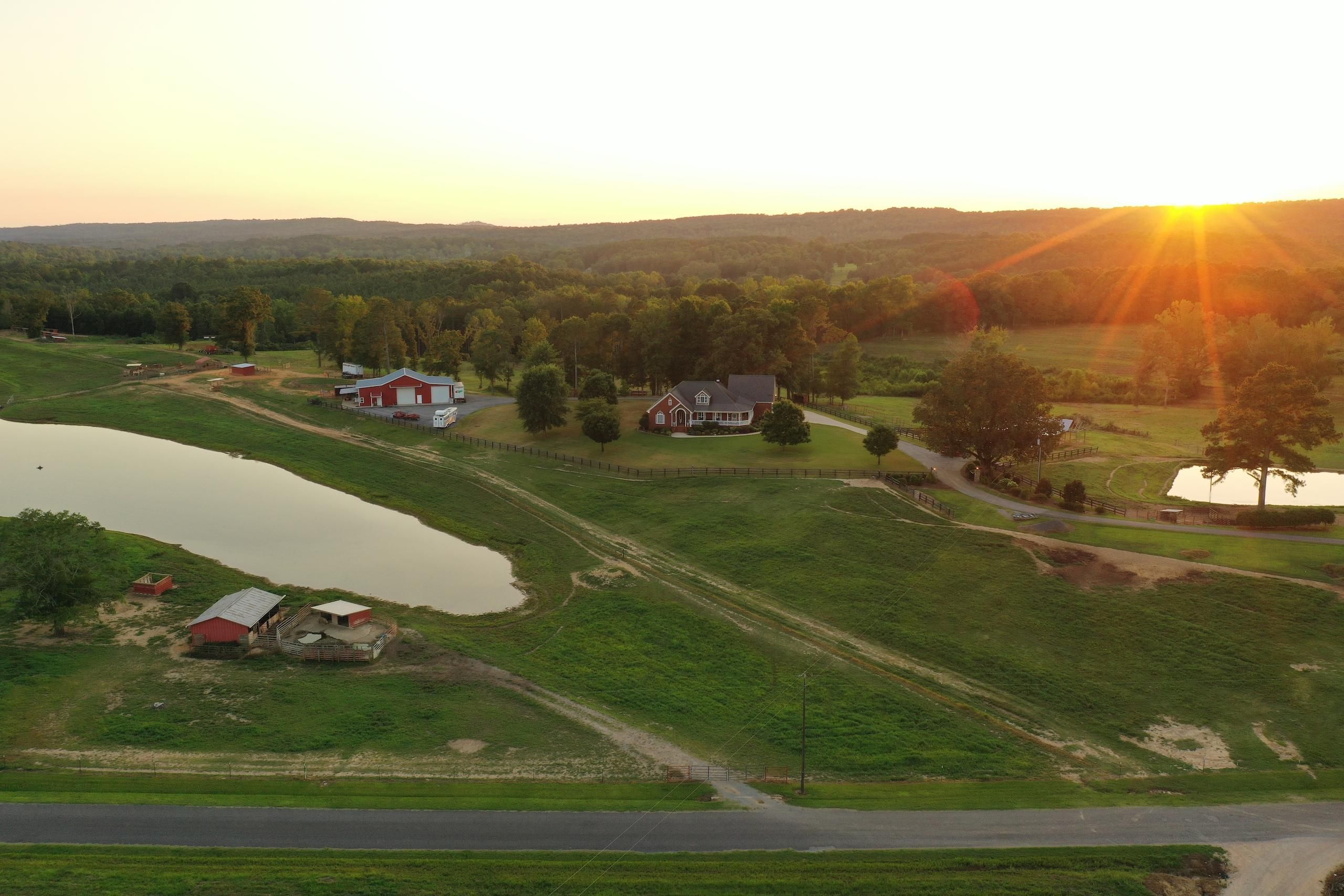 Collinsville, Etowah County, AL Recreational Property, Timberland
