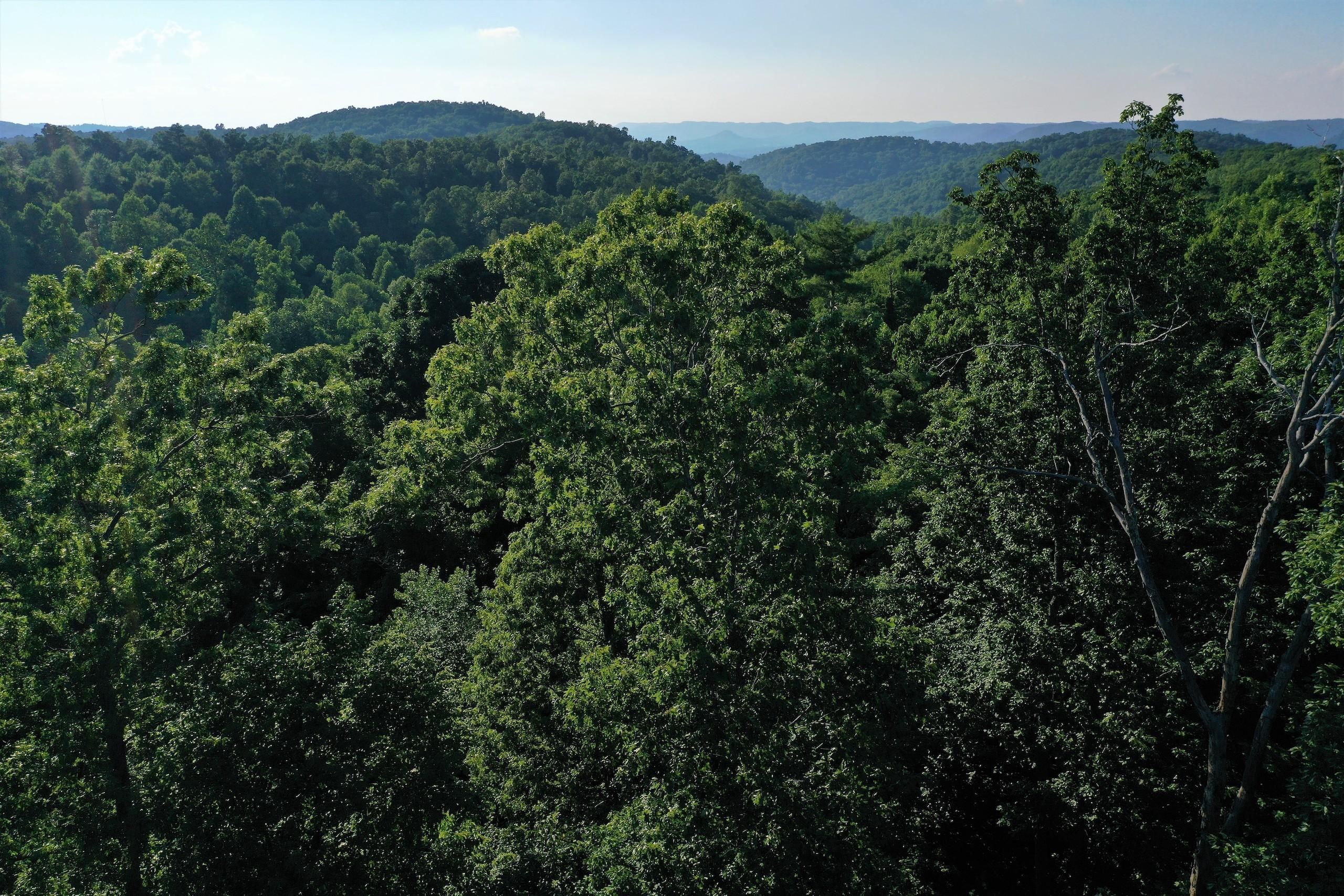 Chop Chestnut Rd. Lot WP001, Stanton, KY 20380 LandWatch