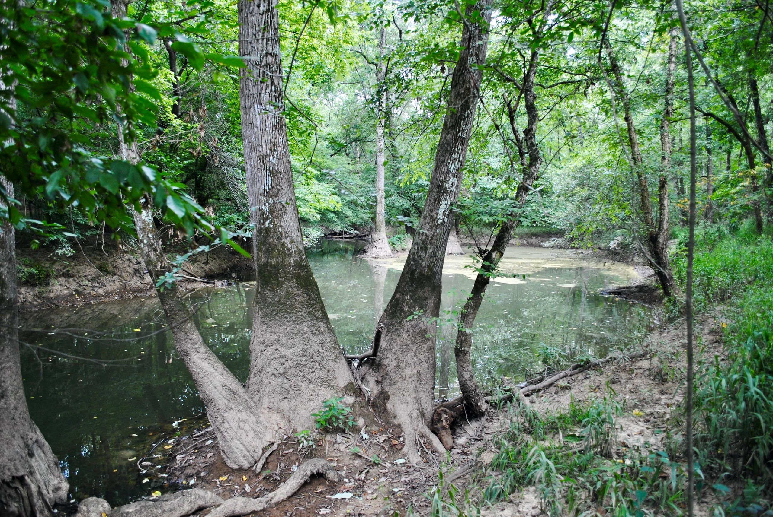 Austin, Lonoke County, AR Recreational Property, Timberland Property, Hunting Property for sale