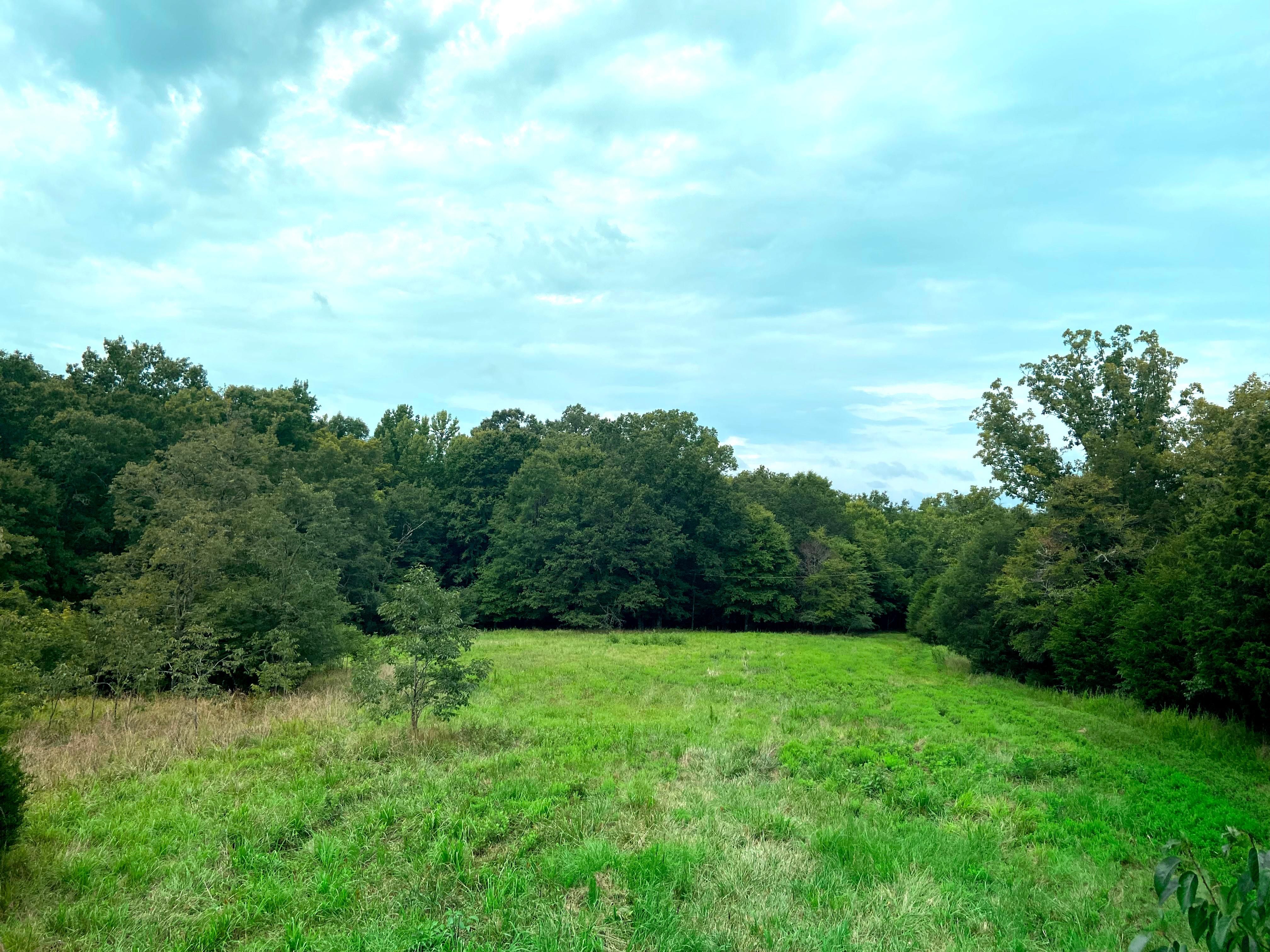Waterloo, Laurens County, SC Recreational Property, Undeveloped Land