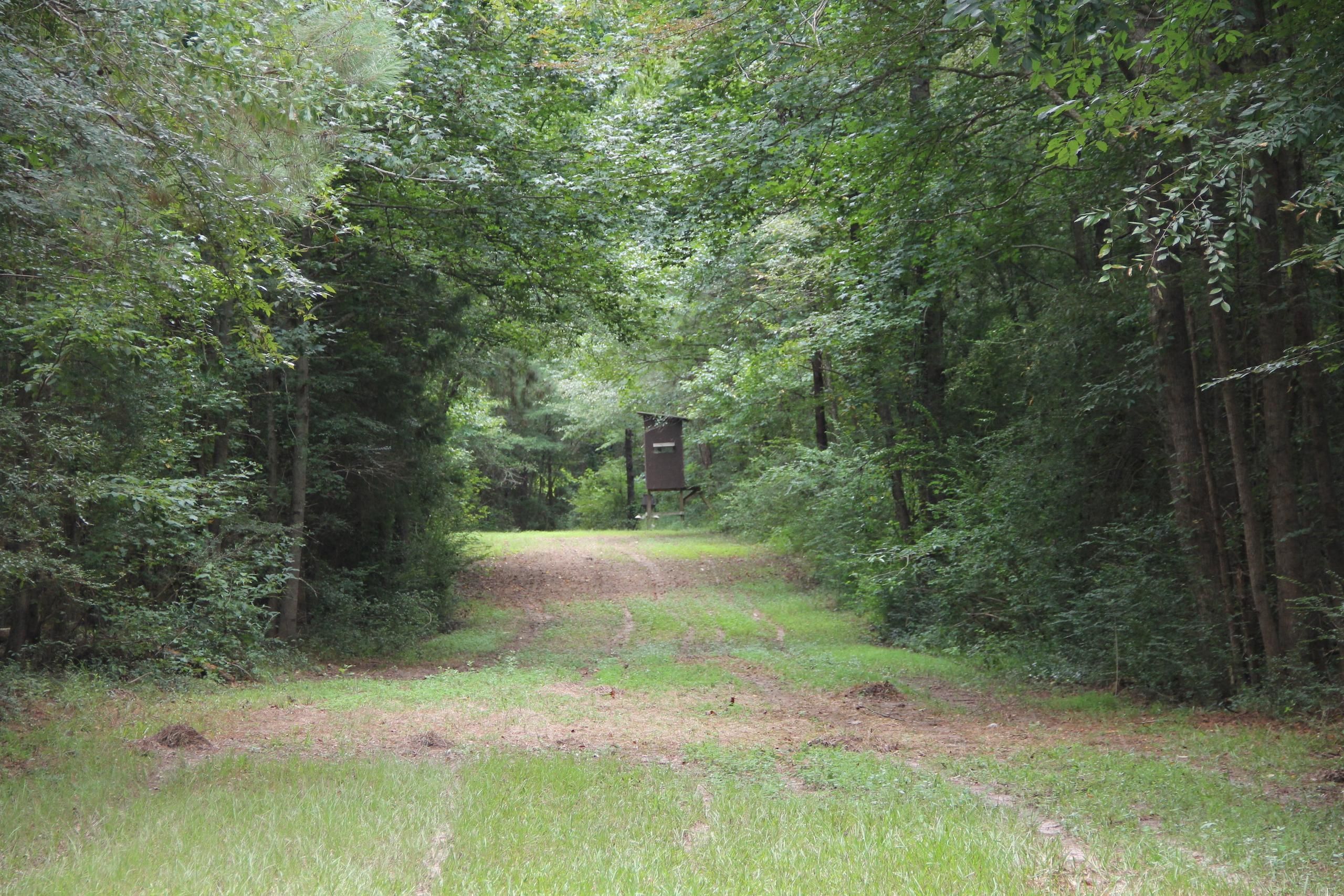 123 Mobley Road, Silver Creek, MS 39663 LandWatch