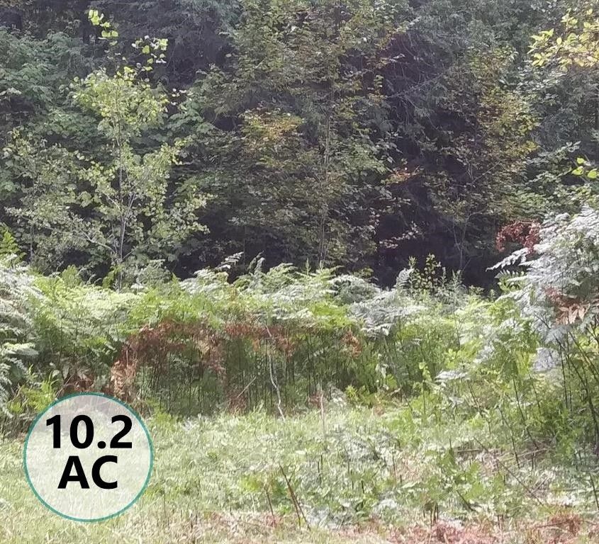 Concord, Essex County, VT Undeveloped Land for sale Property ID