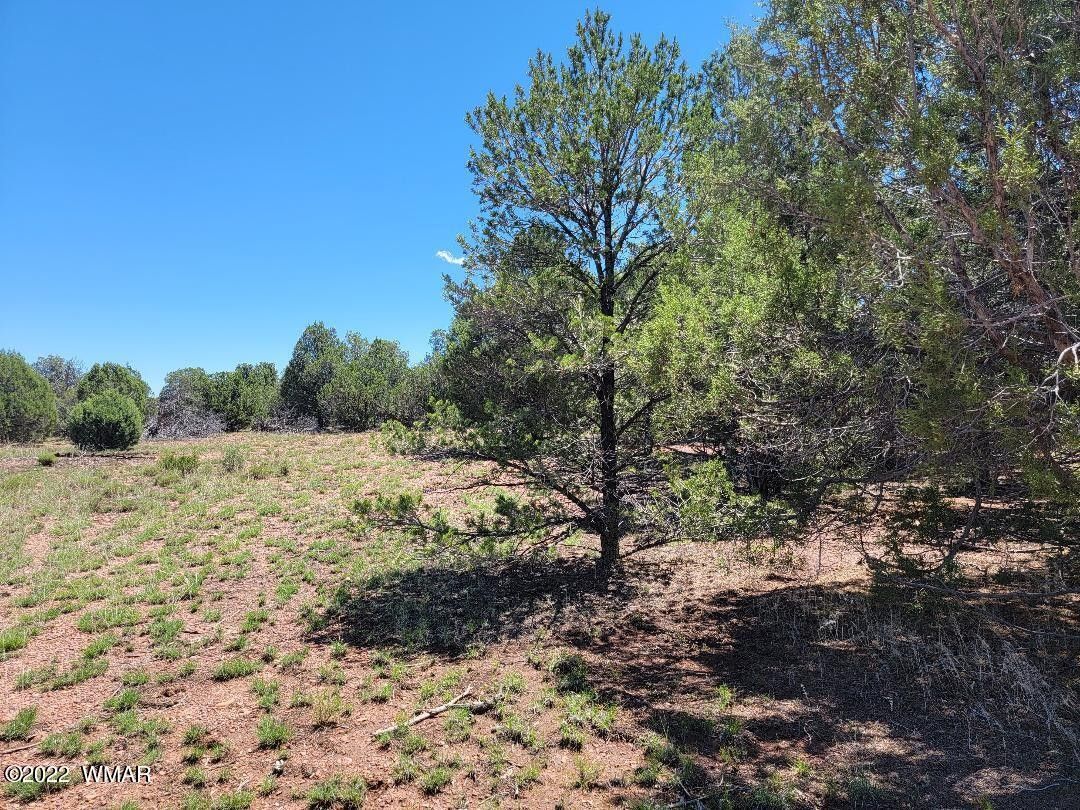 Overgaard, Navajo County, AZ Undeveloped Land, Homesites for sale
