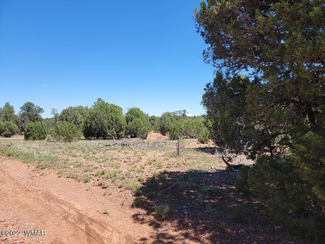 Overgaard, Navajo County, AZ Undeveloped Land, Homesites for sale