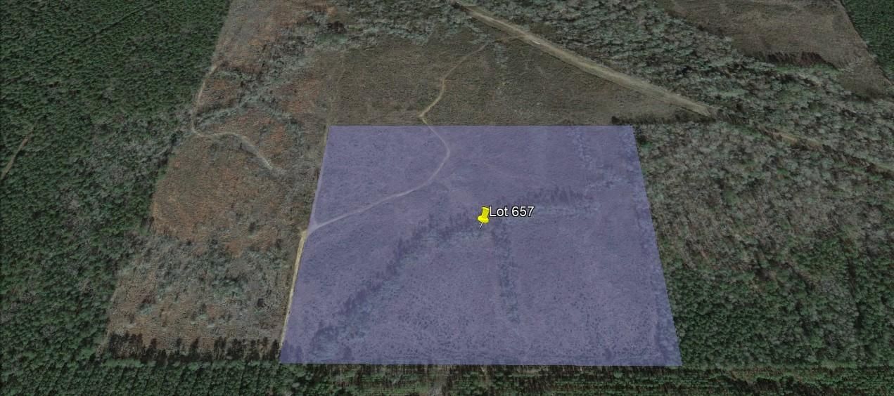 Ragley, Beauregard Parish, LA Recreational Property, Undeveloped Land