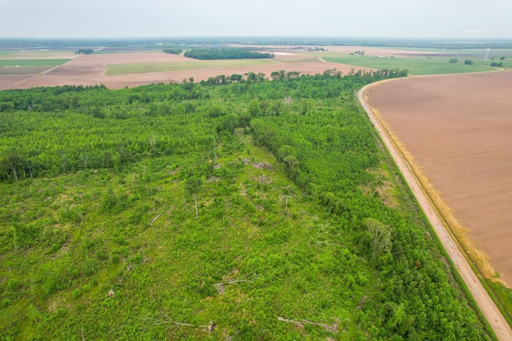 Bastrop, Morehouse Parish, LA Recreational Property, Timberland