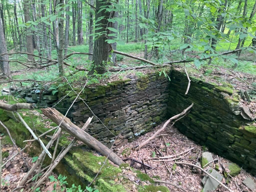 Windsor, Broome County, NY Recreational Property, Hunting Property for