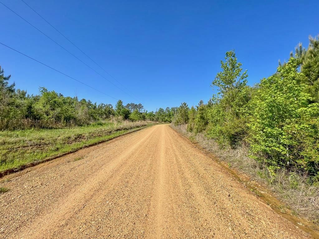 Bastrop, Morehouse Parish, LA Recreational Property, Timberland