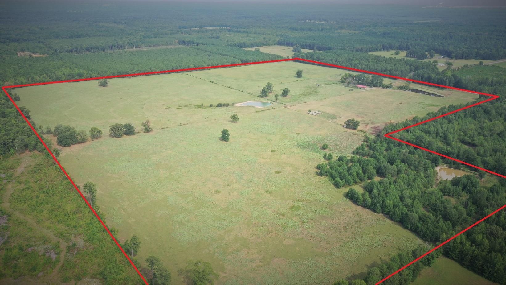 Doddridge, Miller County, AR Farms and Ranches, House for sale Property