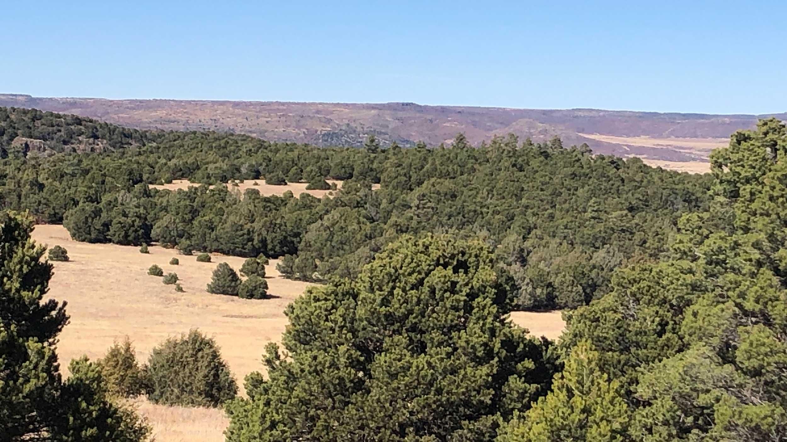9,521 acres in Folsom, NM, 88419 LandWatch