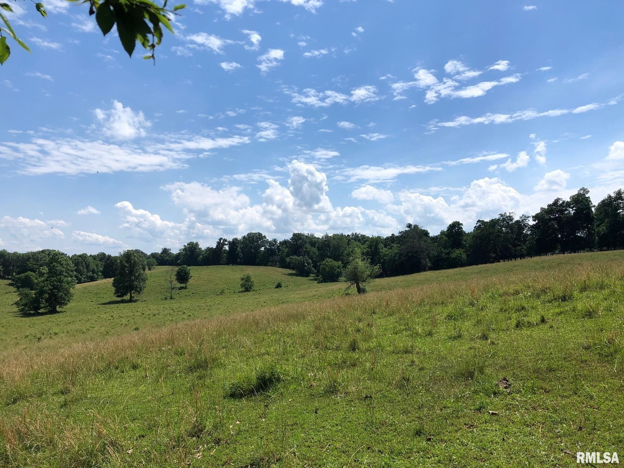 Harrisburg, Saline County, IL Undeveloped Land for sale Property ID