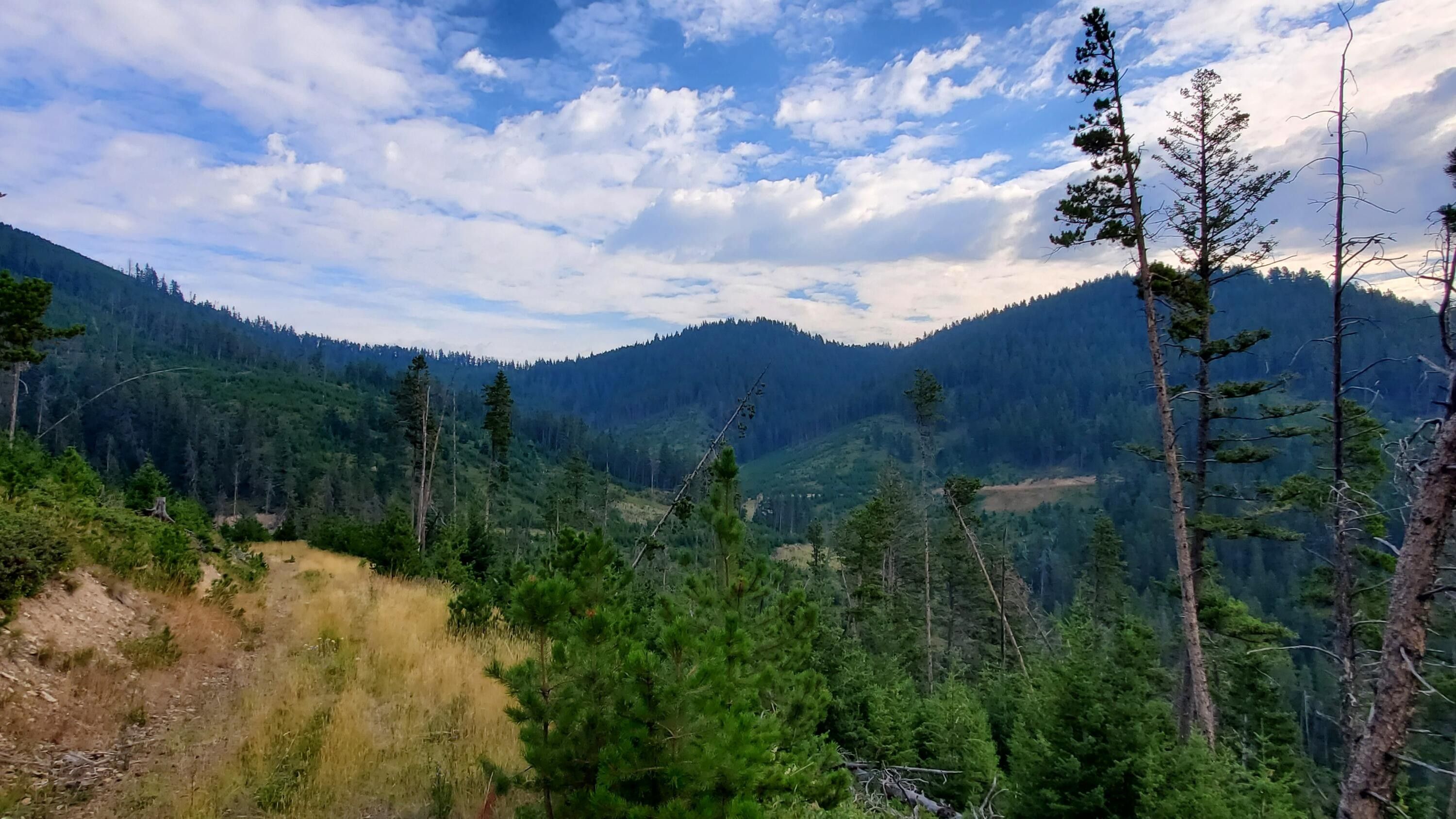 Lewistown, Fergus County, MT Undeveloped Land for sale Property ID