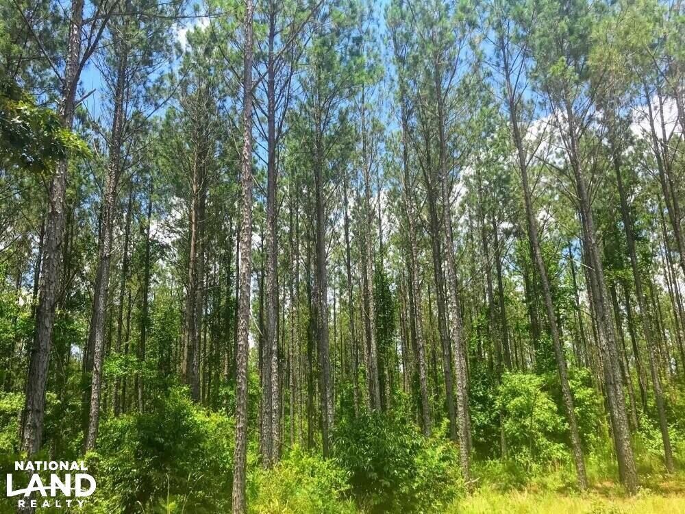 Preston, ster County, GA Recreational Property, Timberland Property