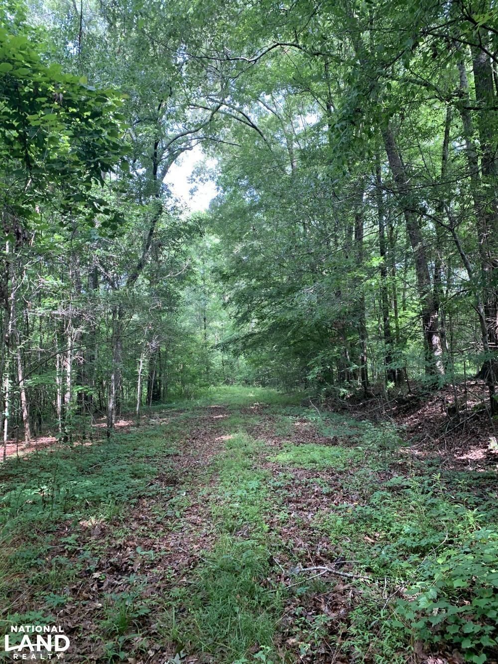 Natchez, Adams County, MS Recreational Property, Undeveloped Land for