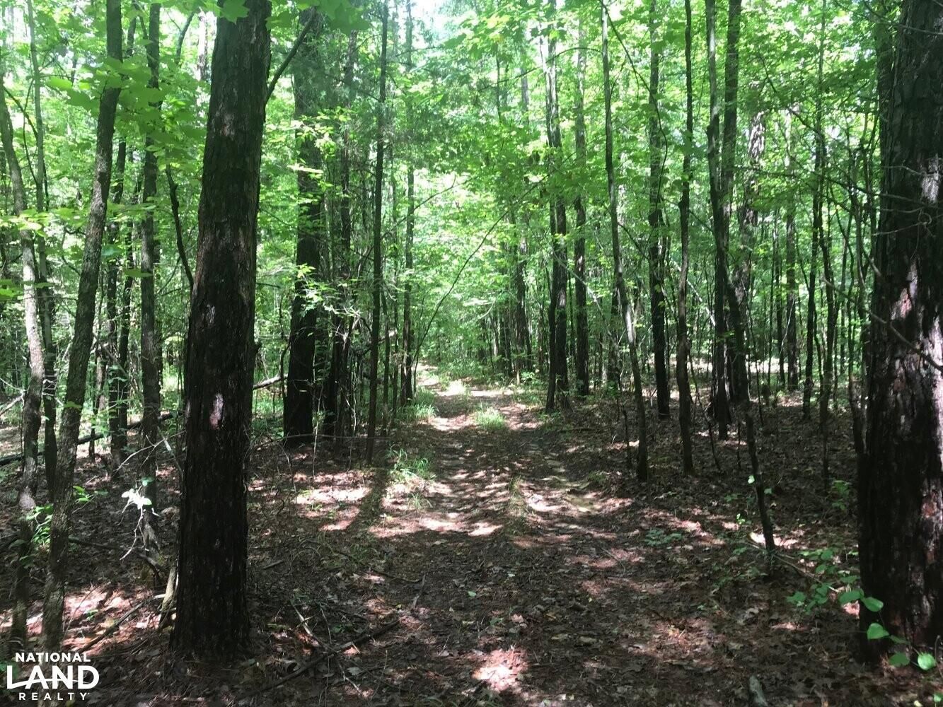 0 CR 409, Falkner, MS 38629 LandWatch