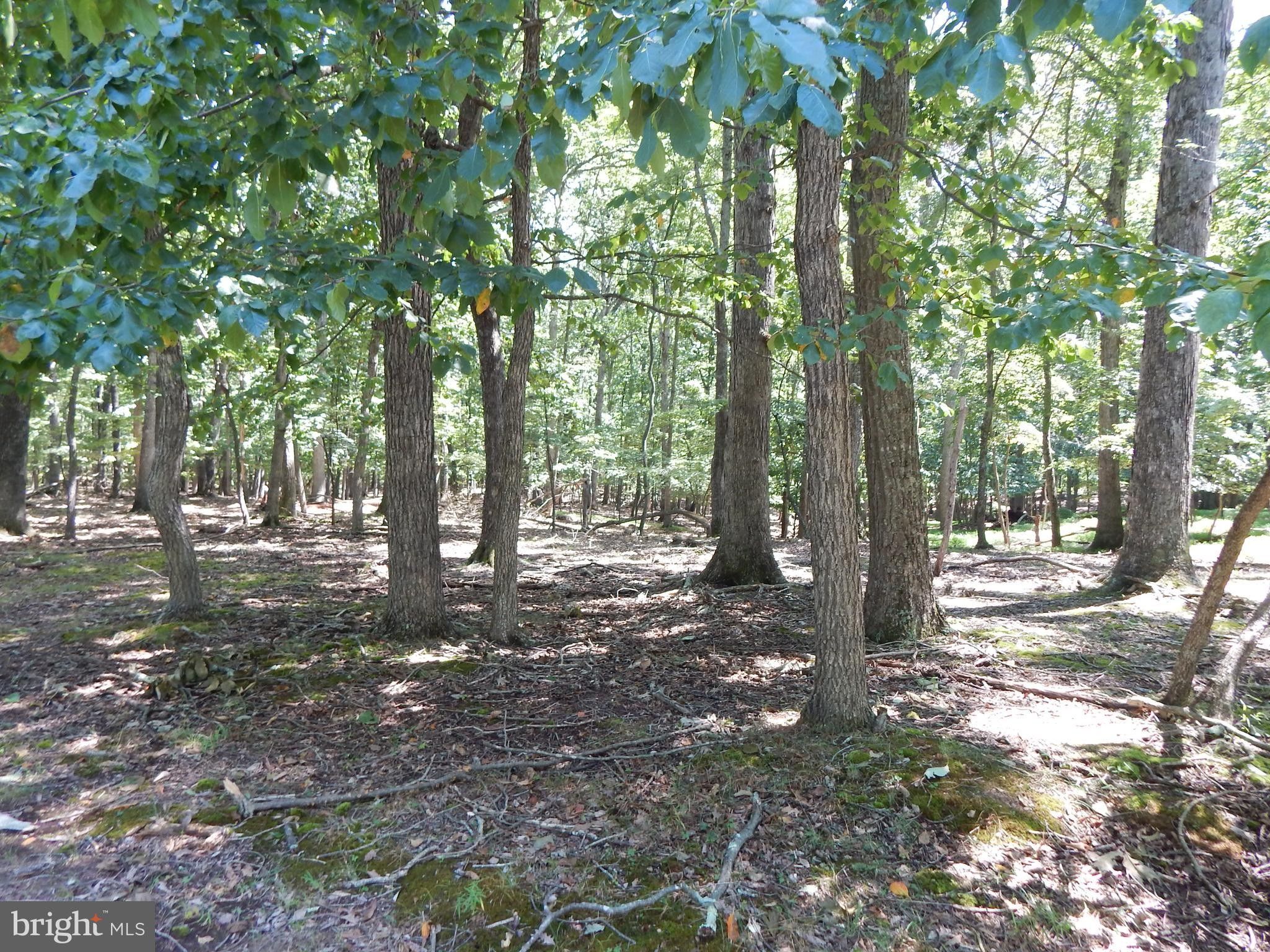 Great Cacapon, County, WV Farms and Ranches for sale Property ID 414463282 LandWatch