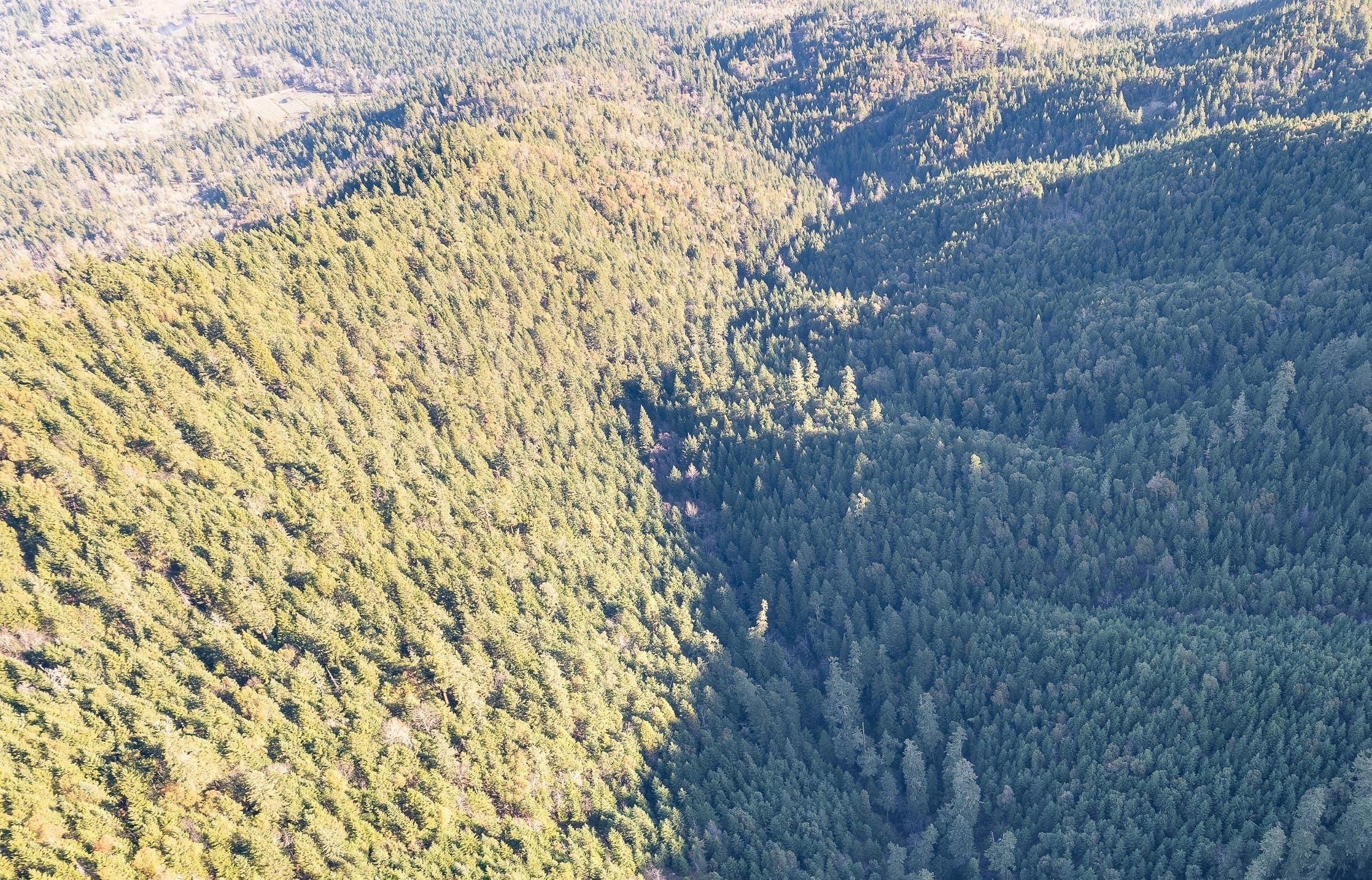 Grants Pass, Josephine County, OR Recreational Property, Timberland