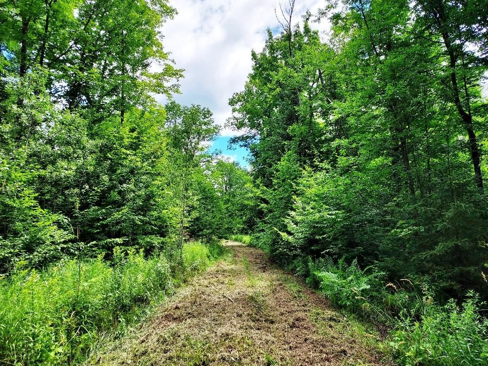 Gleason, Langlade County, WI Recreational Property, Hunting Property